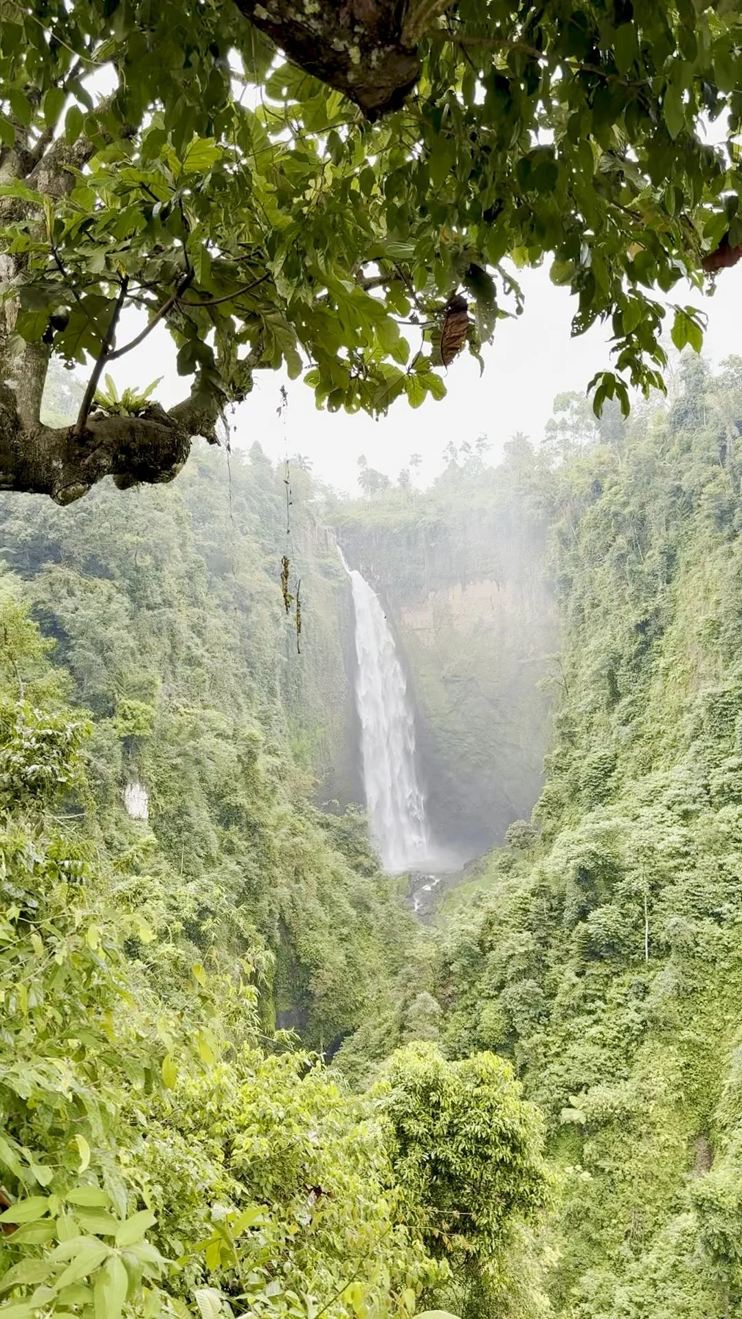 Java's Southern Soul.jpg