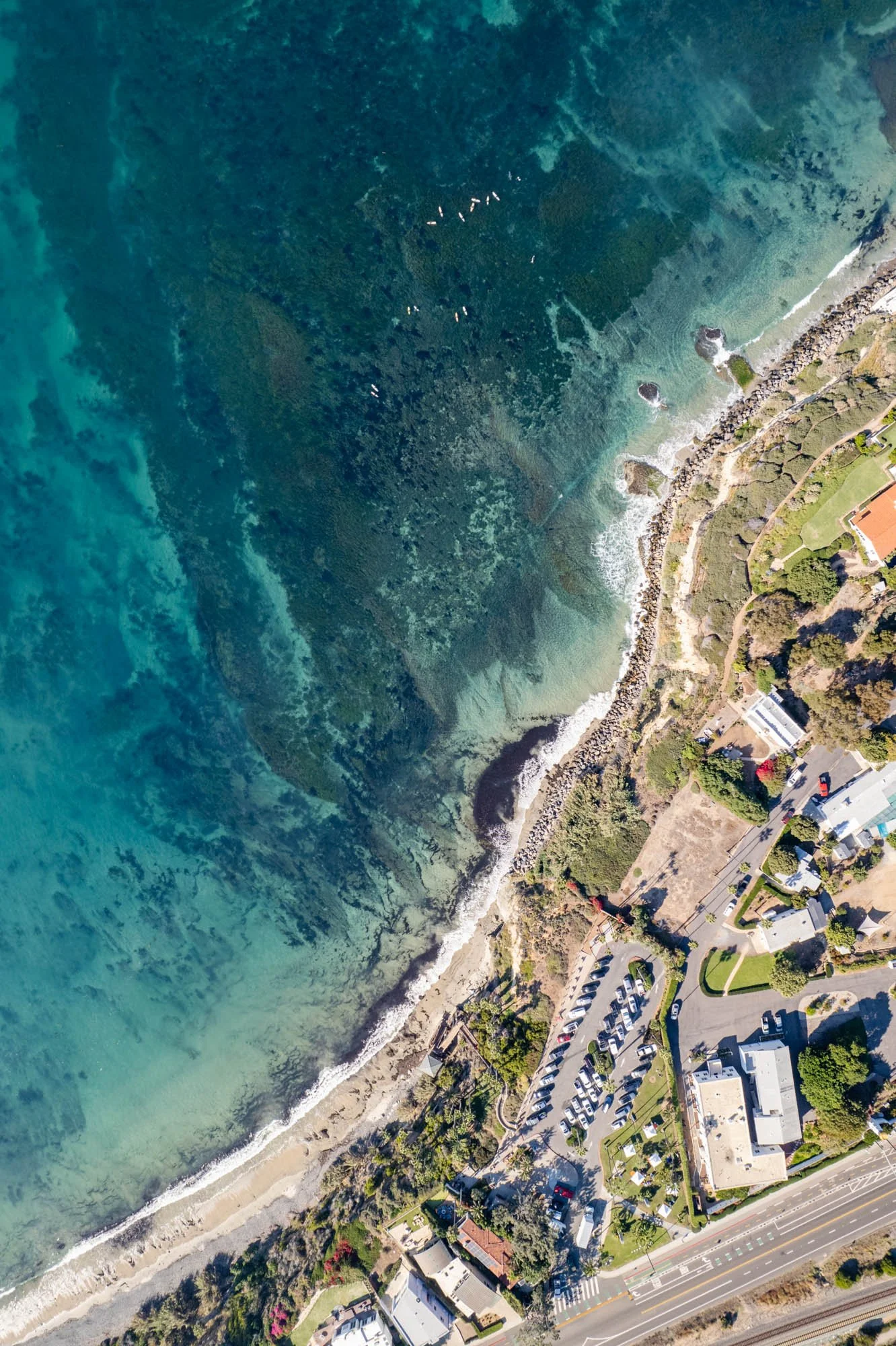 DJI_0380.jpg