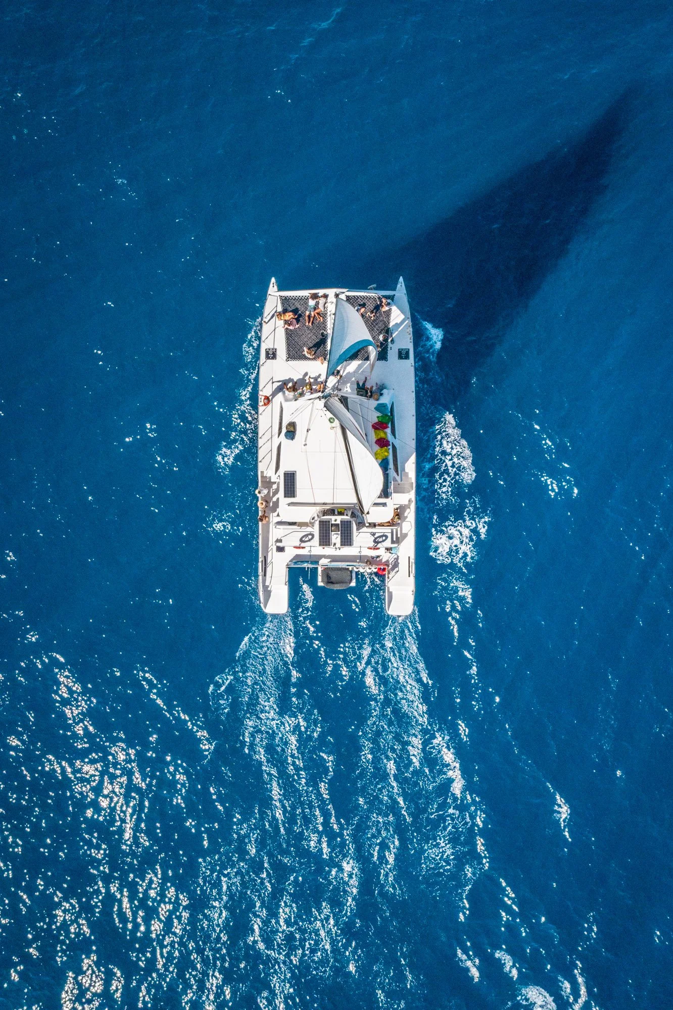 DJI_0810.jpg