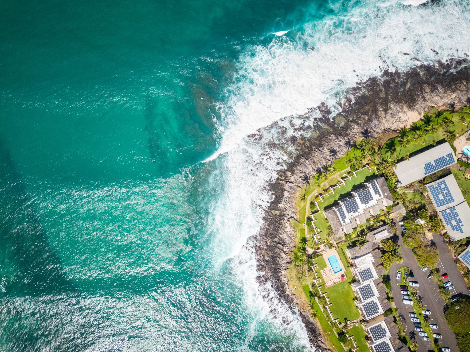DJI_0201.jpg