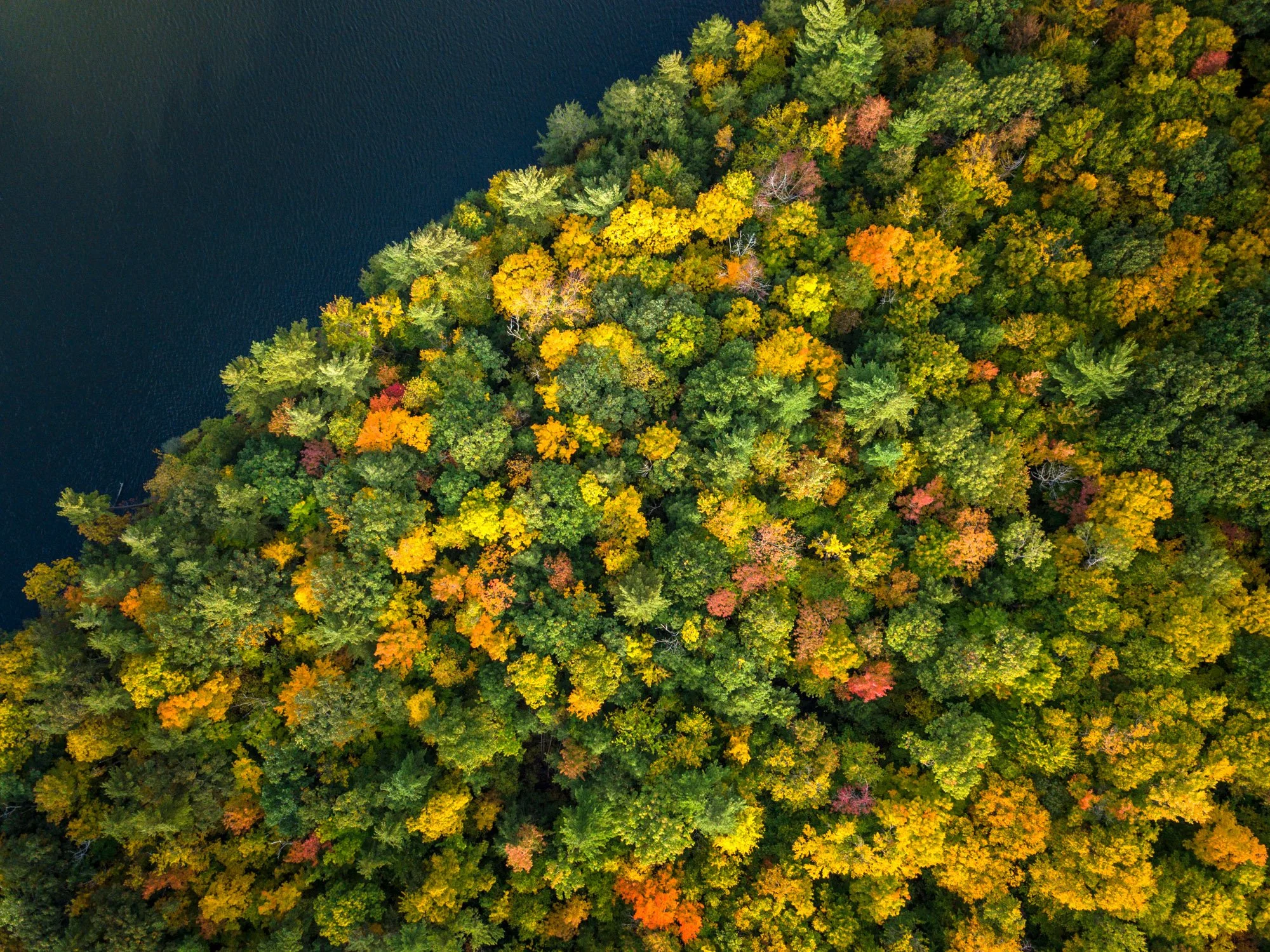 DJI_0050-Edit.jpg