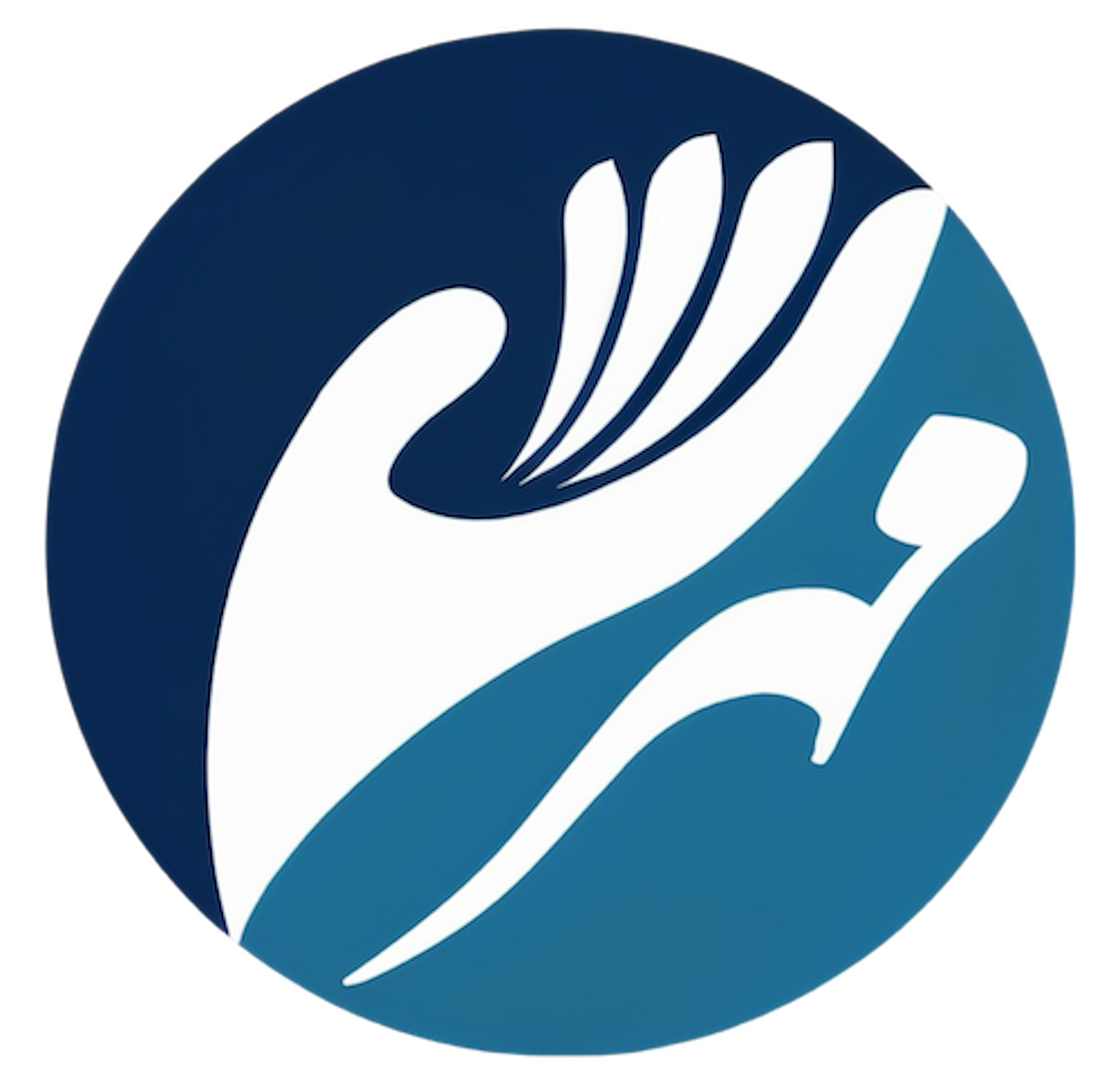 Mehr Care, NDIS provider for Farsi, Dari, English, Italian speaking clients