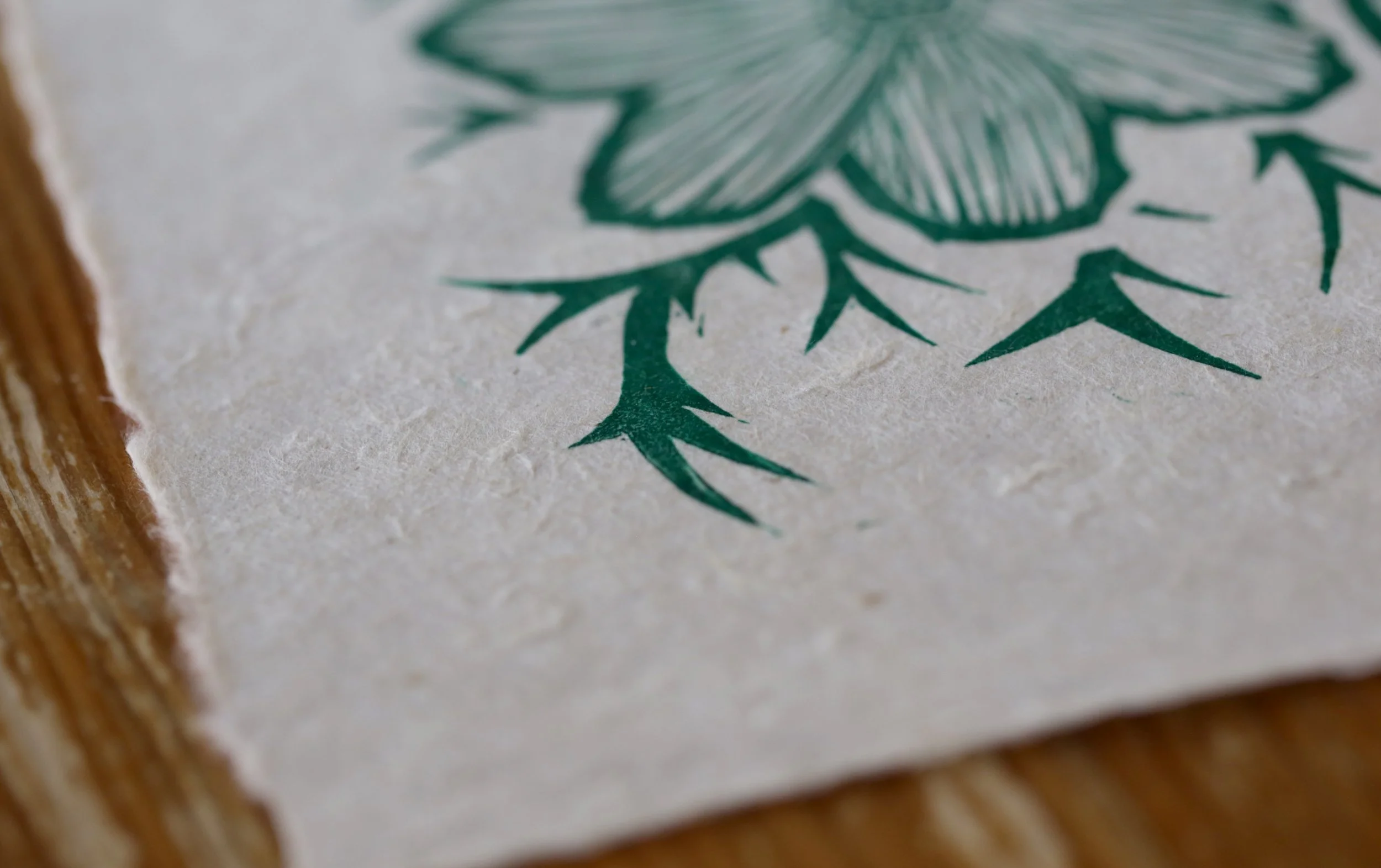 Hand carved fine art lino print cosmos plant pot