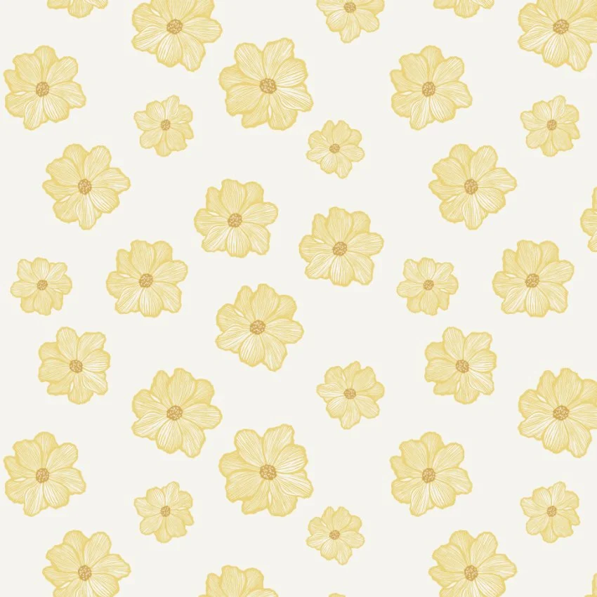 singleflowercosmos2.jpg