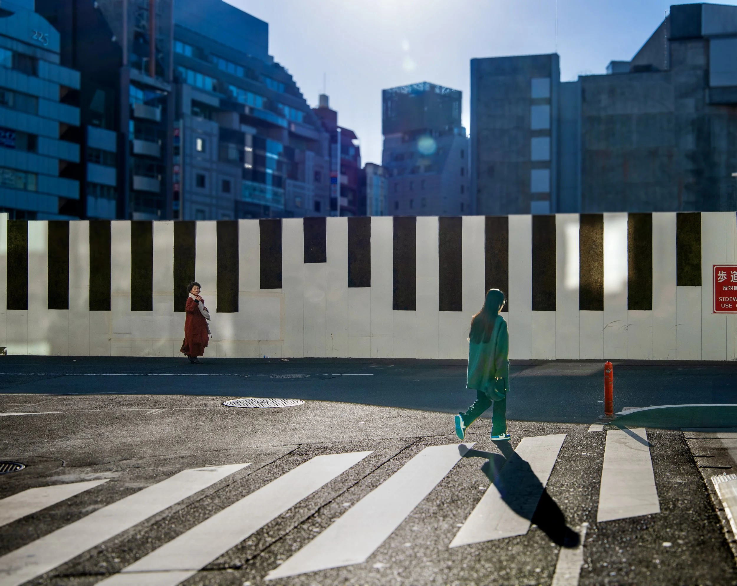 shib construct 2.jpeg