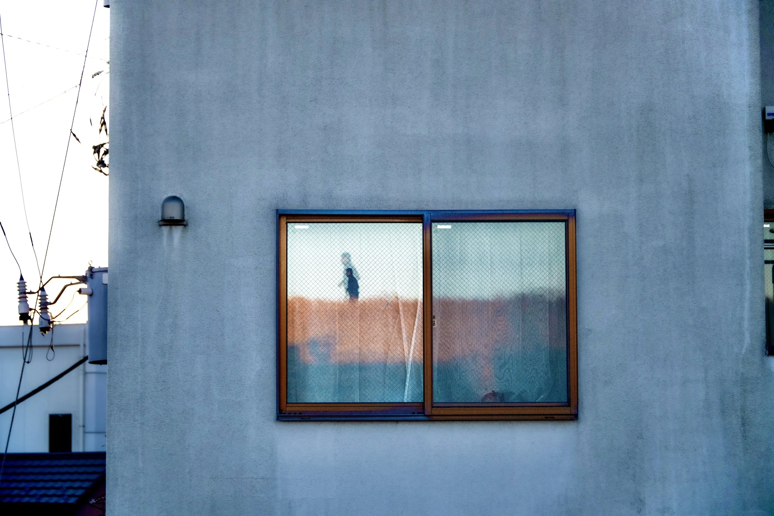 aarakawa window 1.jpeg