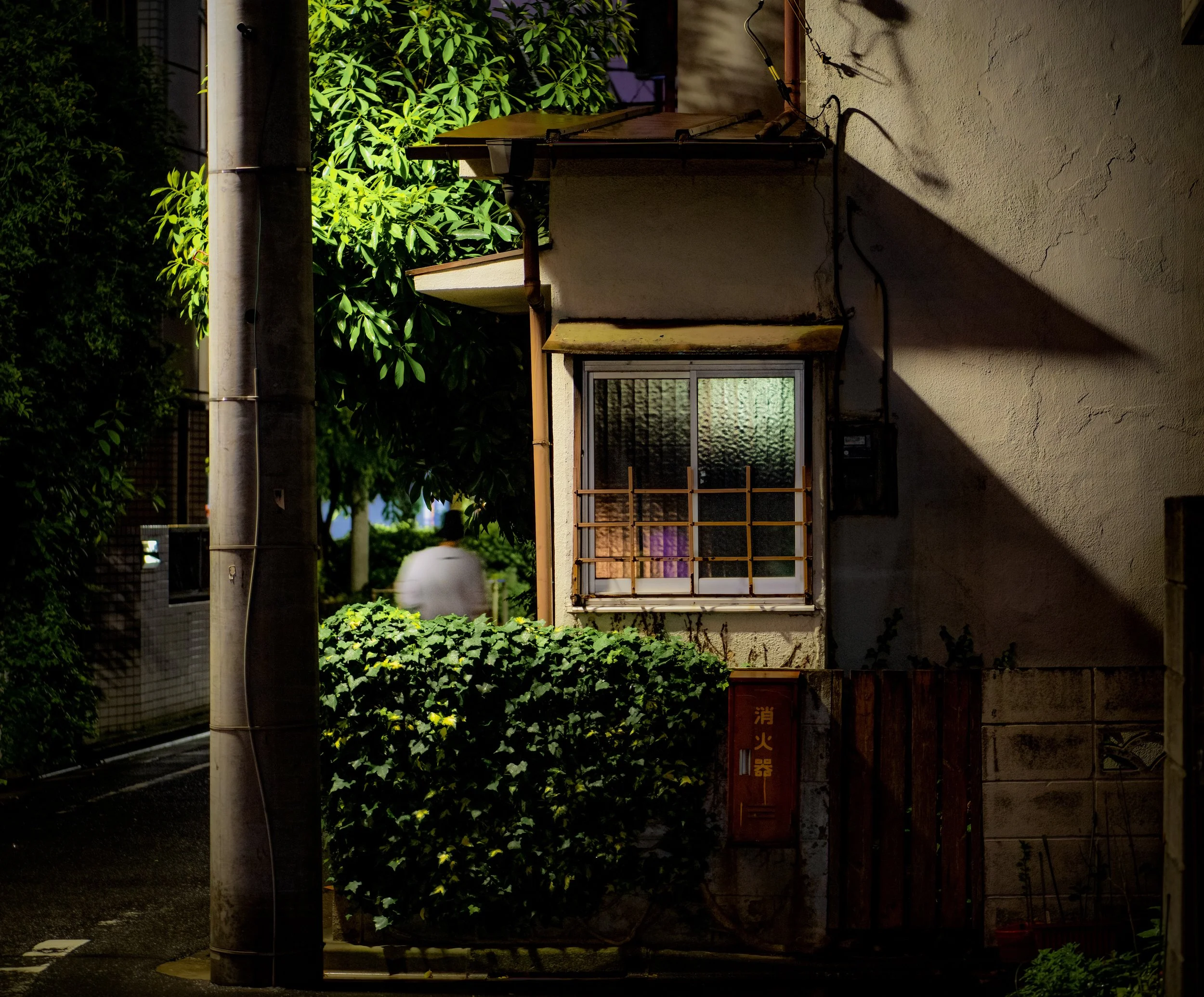 triangle nite window.jpeg