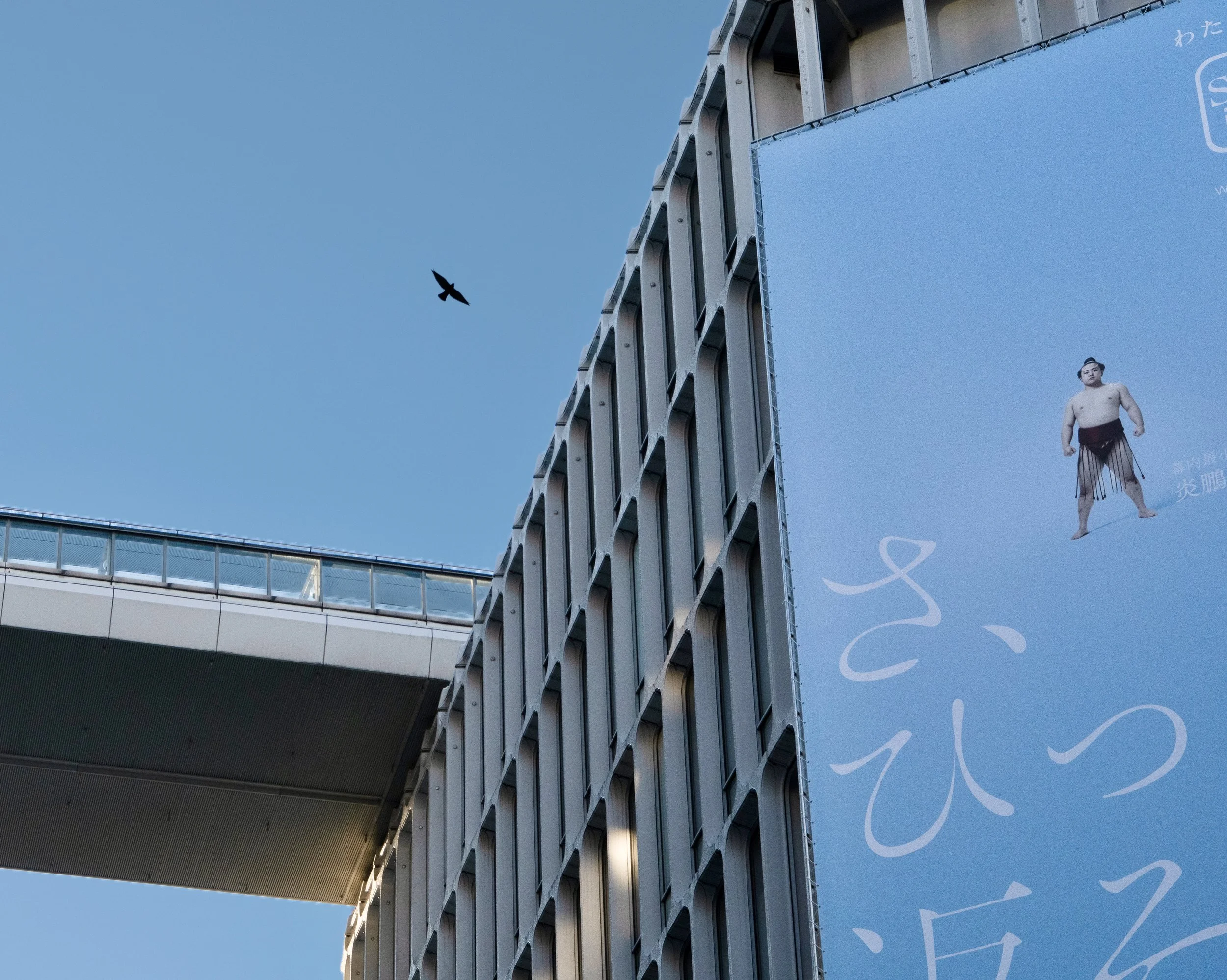 shib sumo sky clr reedit 3 5 20.jpeg