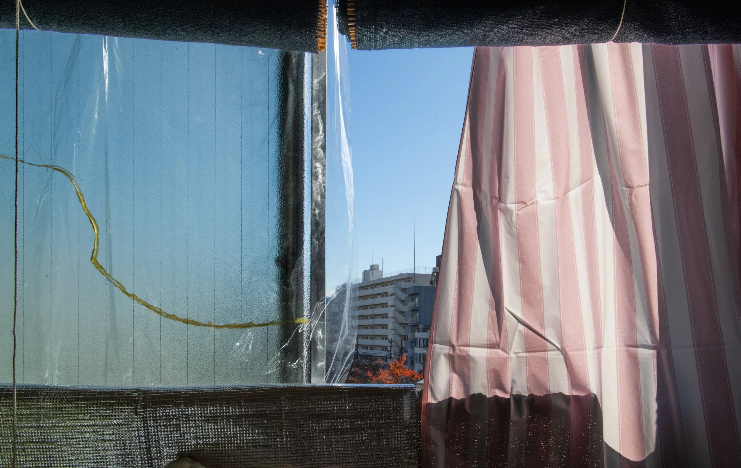 waseda pink window.jpeg