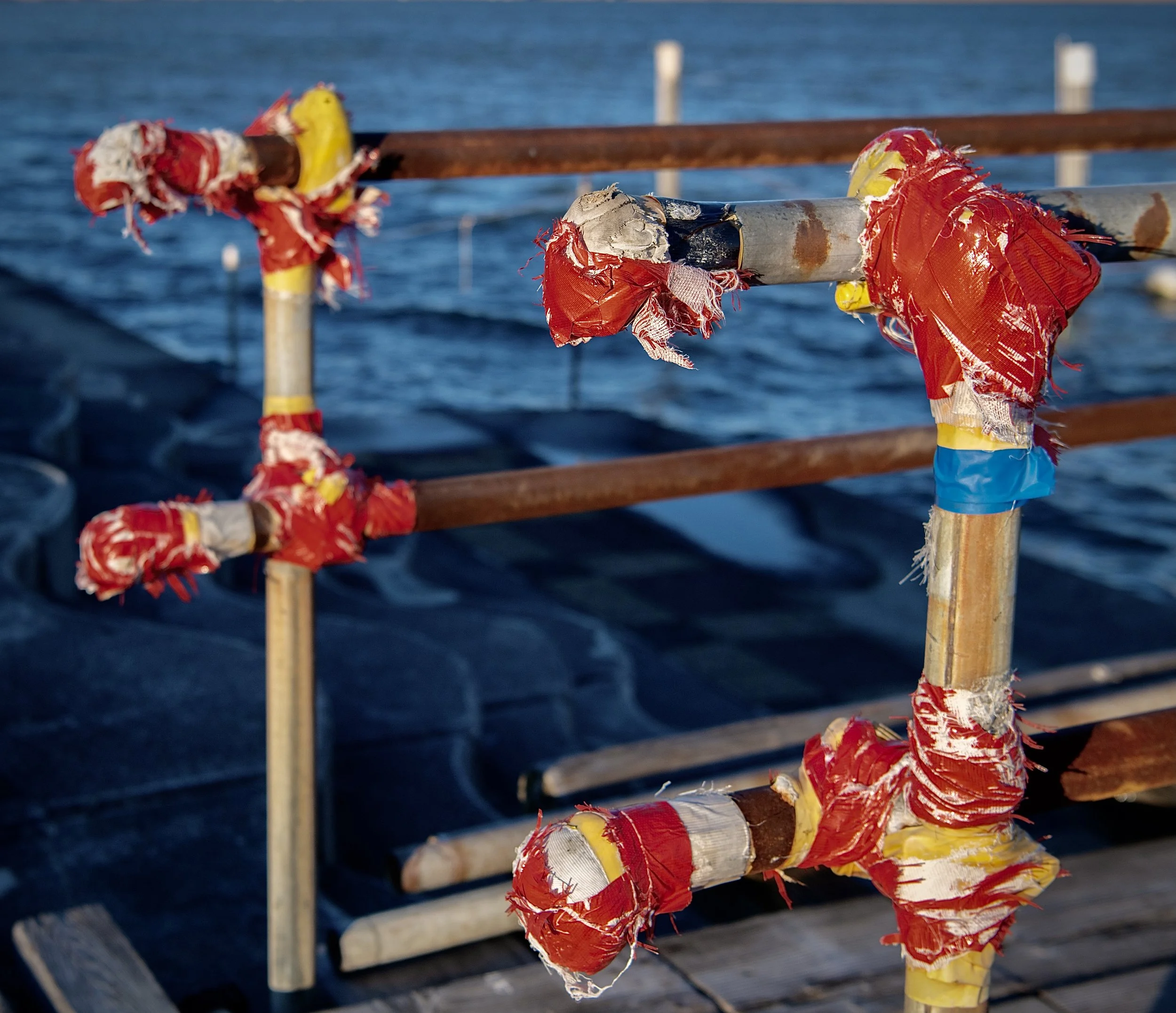 red arakawa  minami suna.jpeg