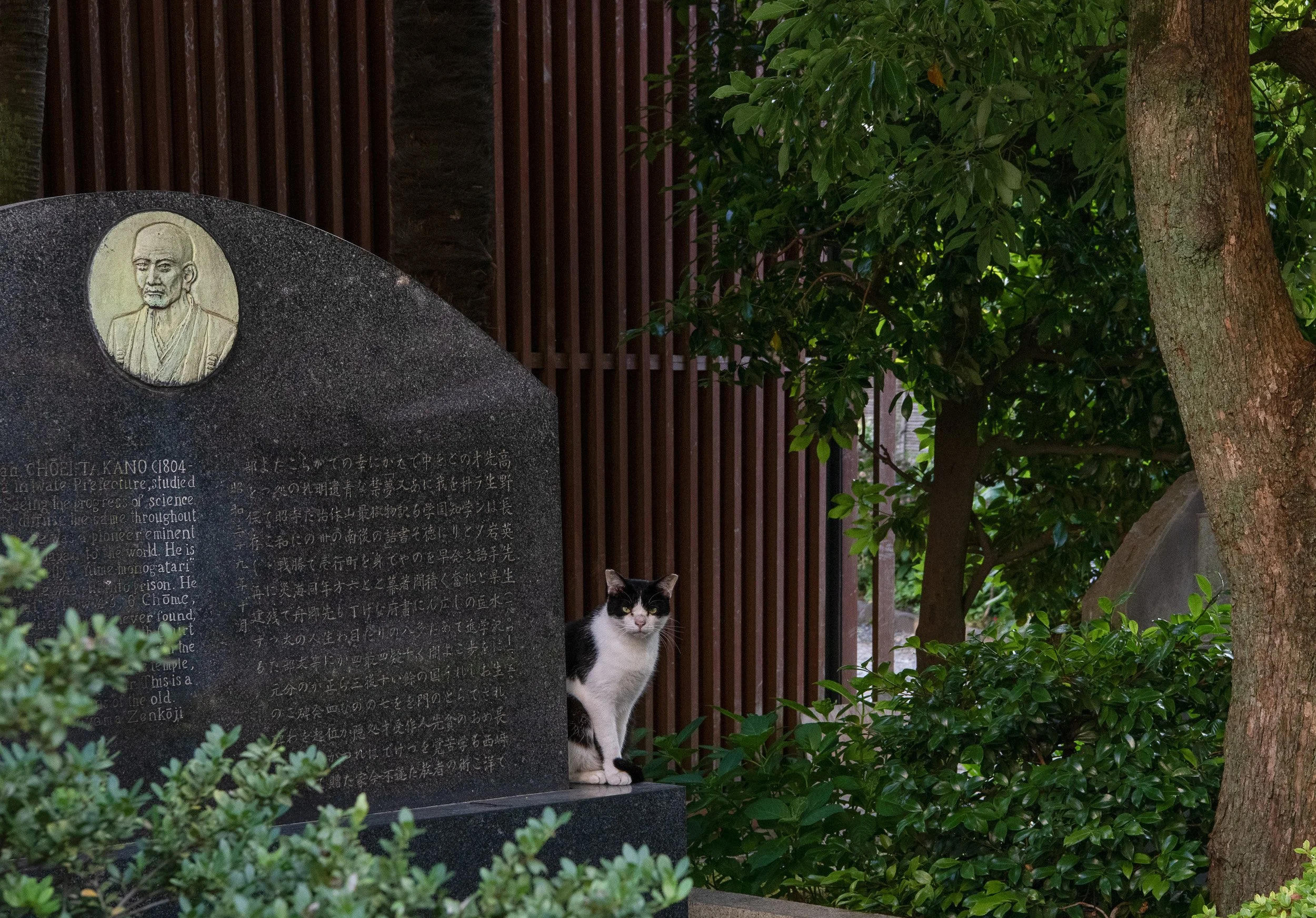 park cat monument 1reedit.jpeg