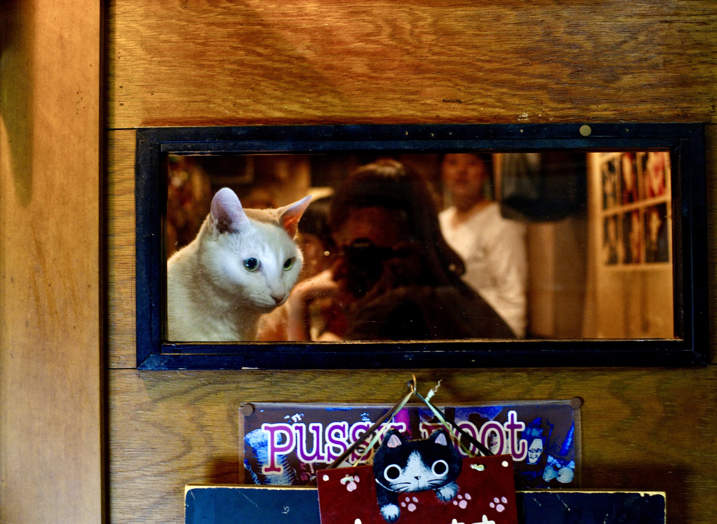 2018-08-29 23.22.54.jpeg