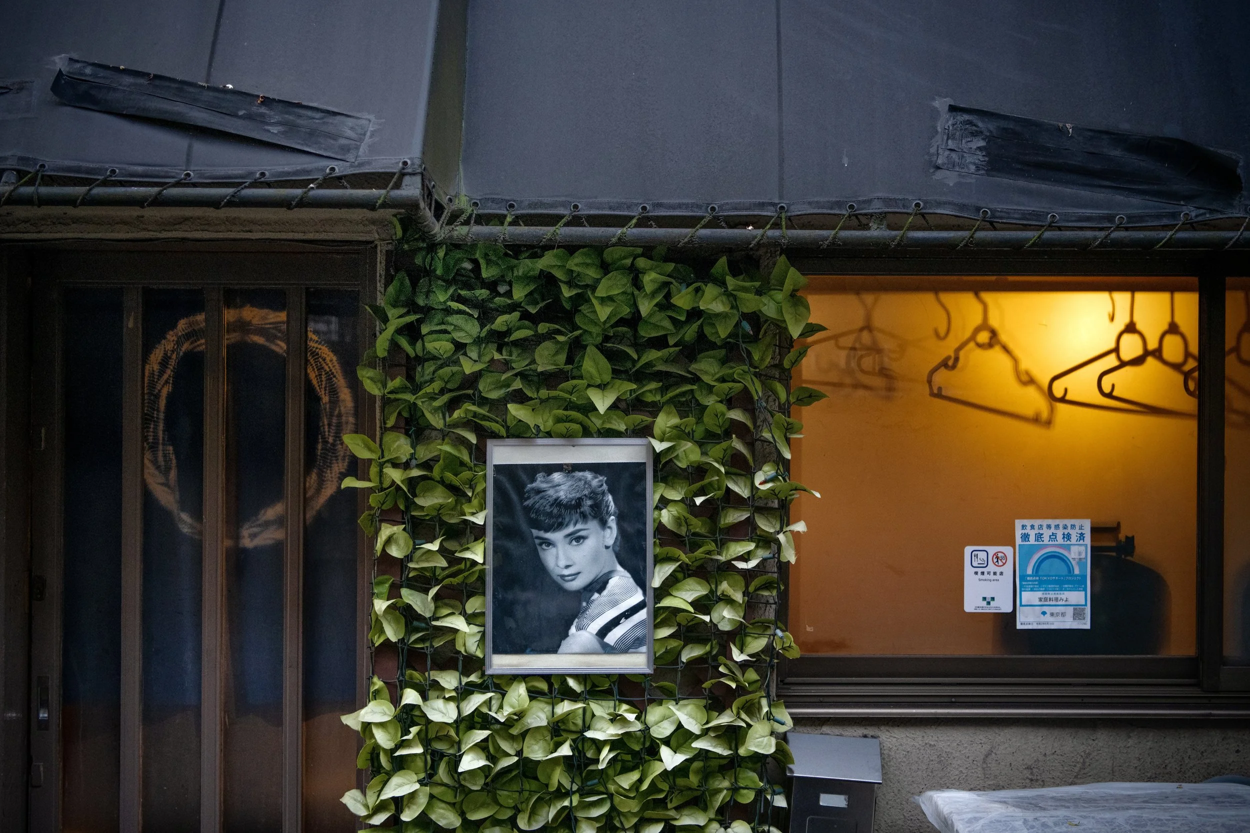 audry clr oiimachi.jpeg