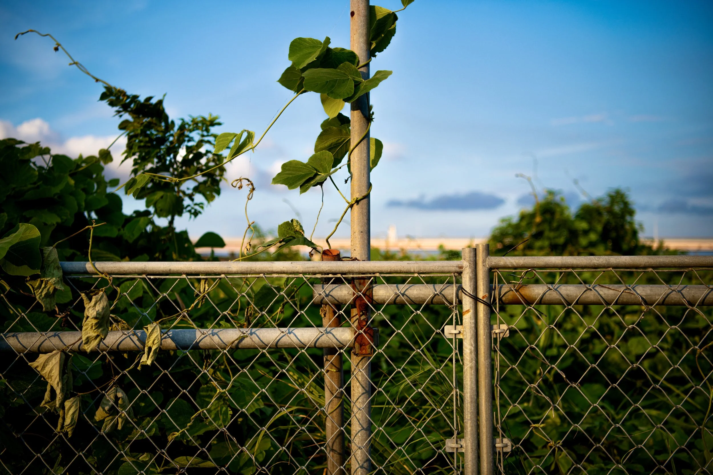 photo aug 11, 5 48 52 pm.jpeg