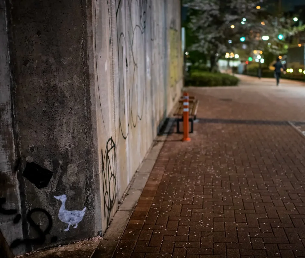 corner duck clr ver.jpeg