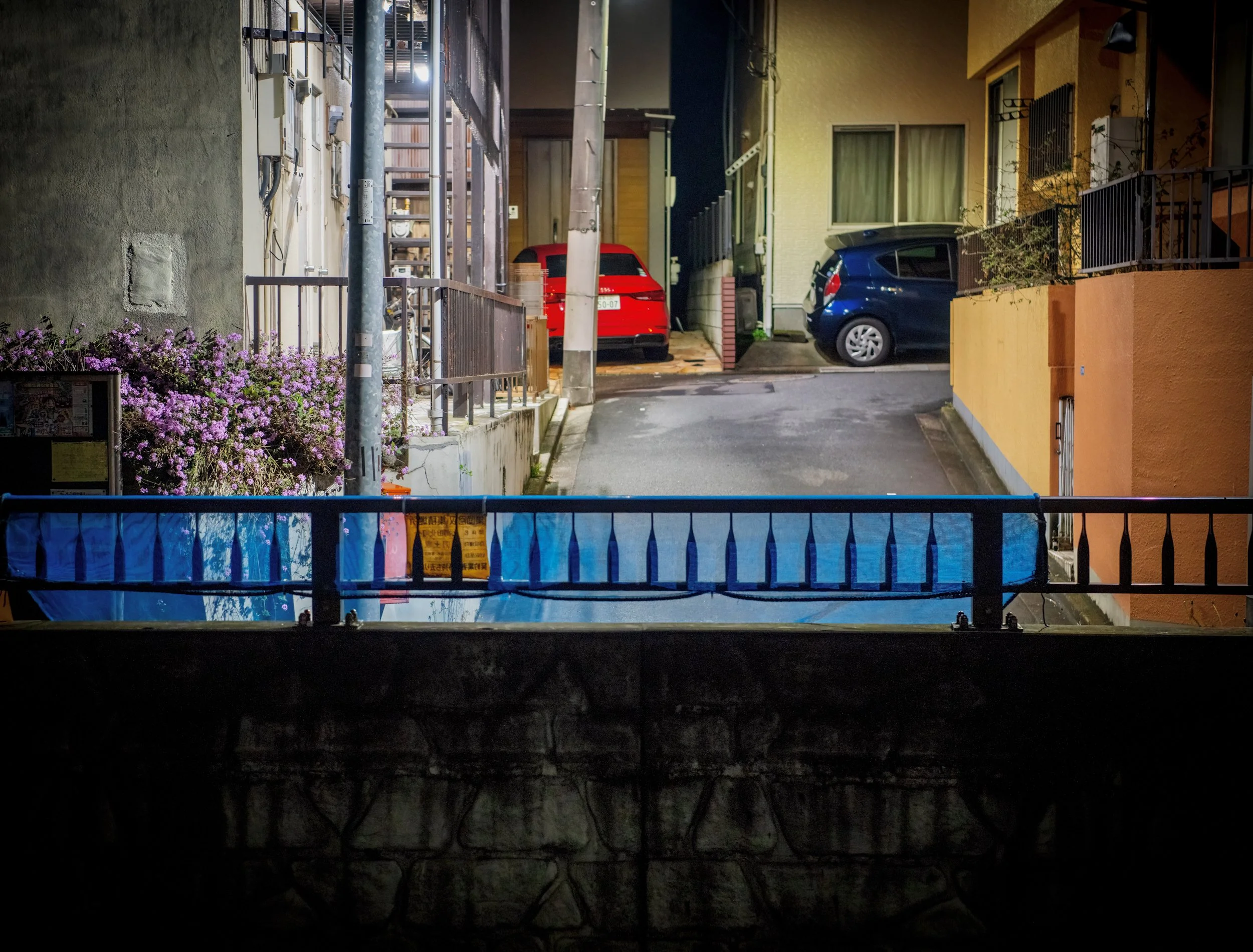 nite blue netting 2.jpeg