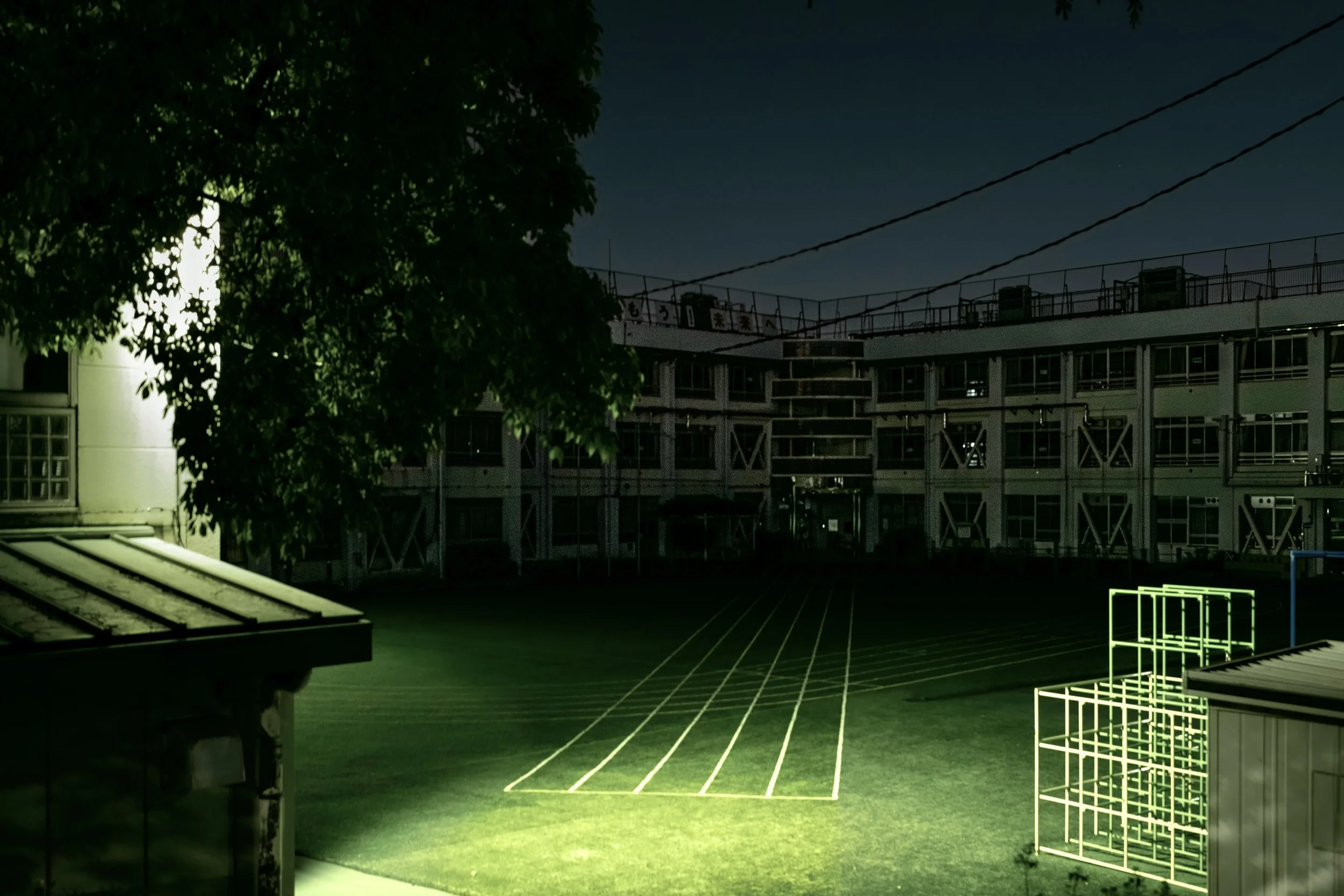 towards shin green track  clr reedit 4 21 20.jpeg