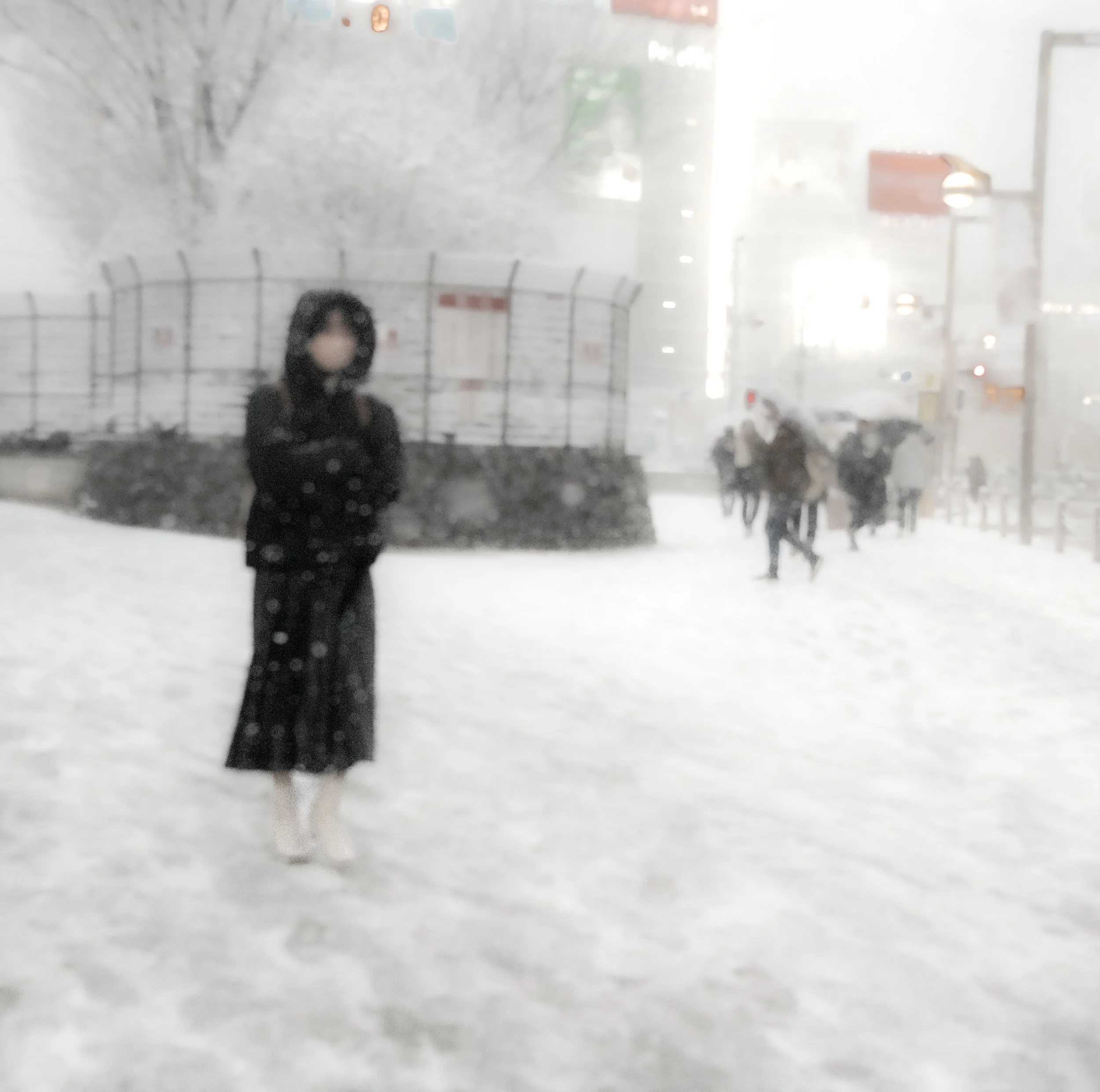 single shin snow girl.jpeg