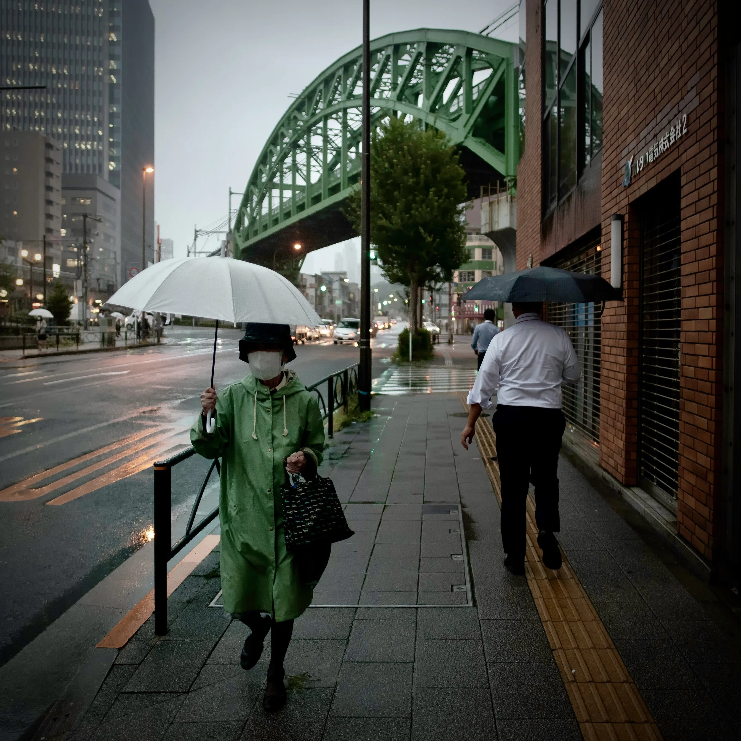 akiba green bridge coat.jpeg