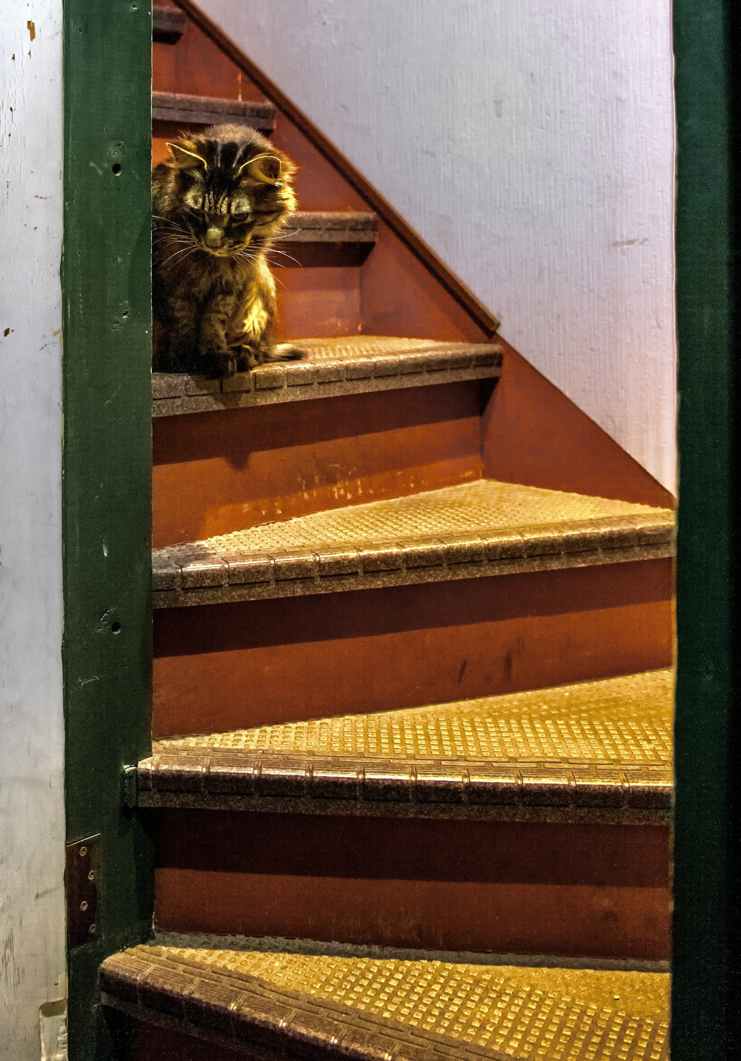 photo mar 20, 11 43 52 pm.jpeg