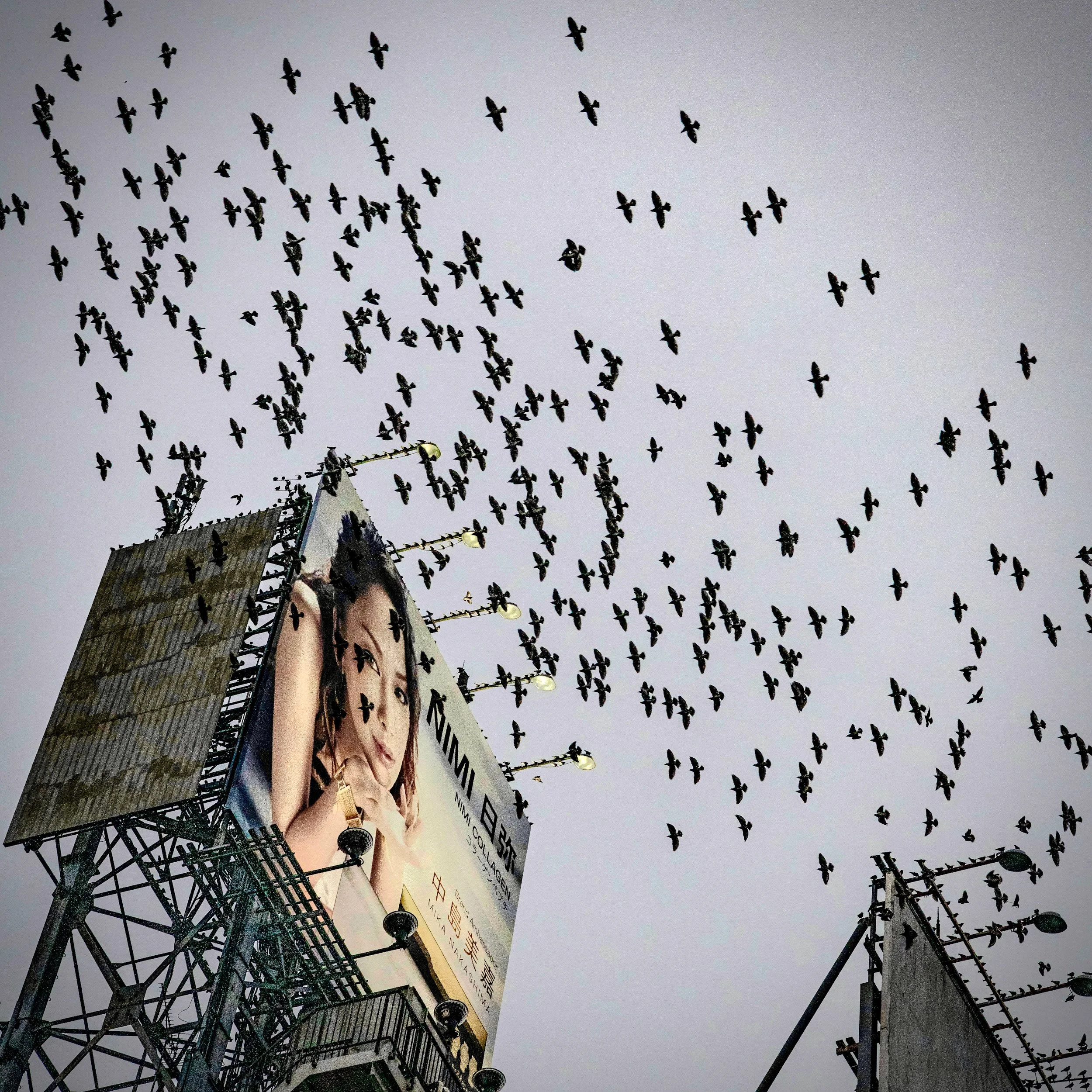 photo oct 14, 4 41 41 pm.jpeg