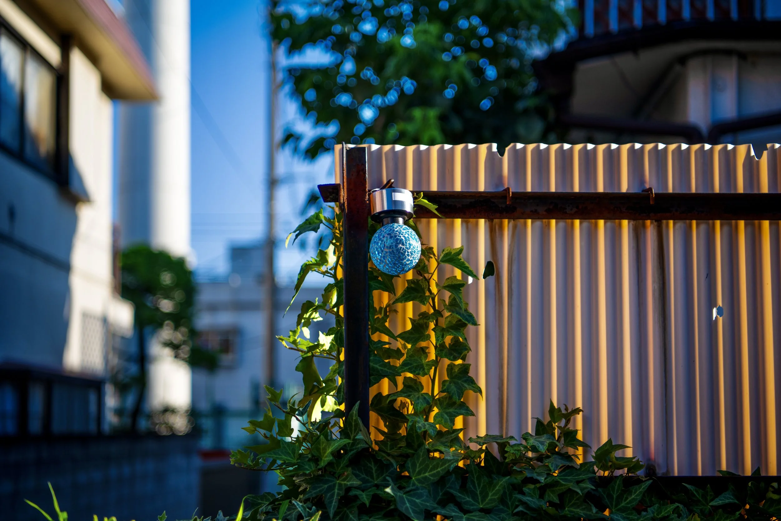  nakano blue ball.jpeg