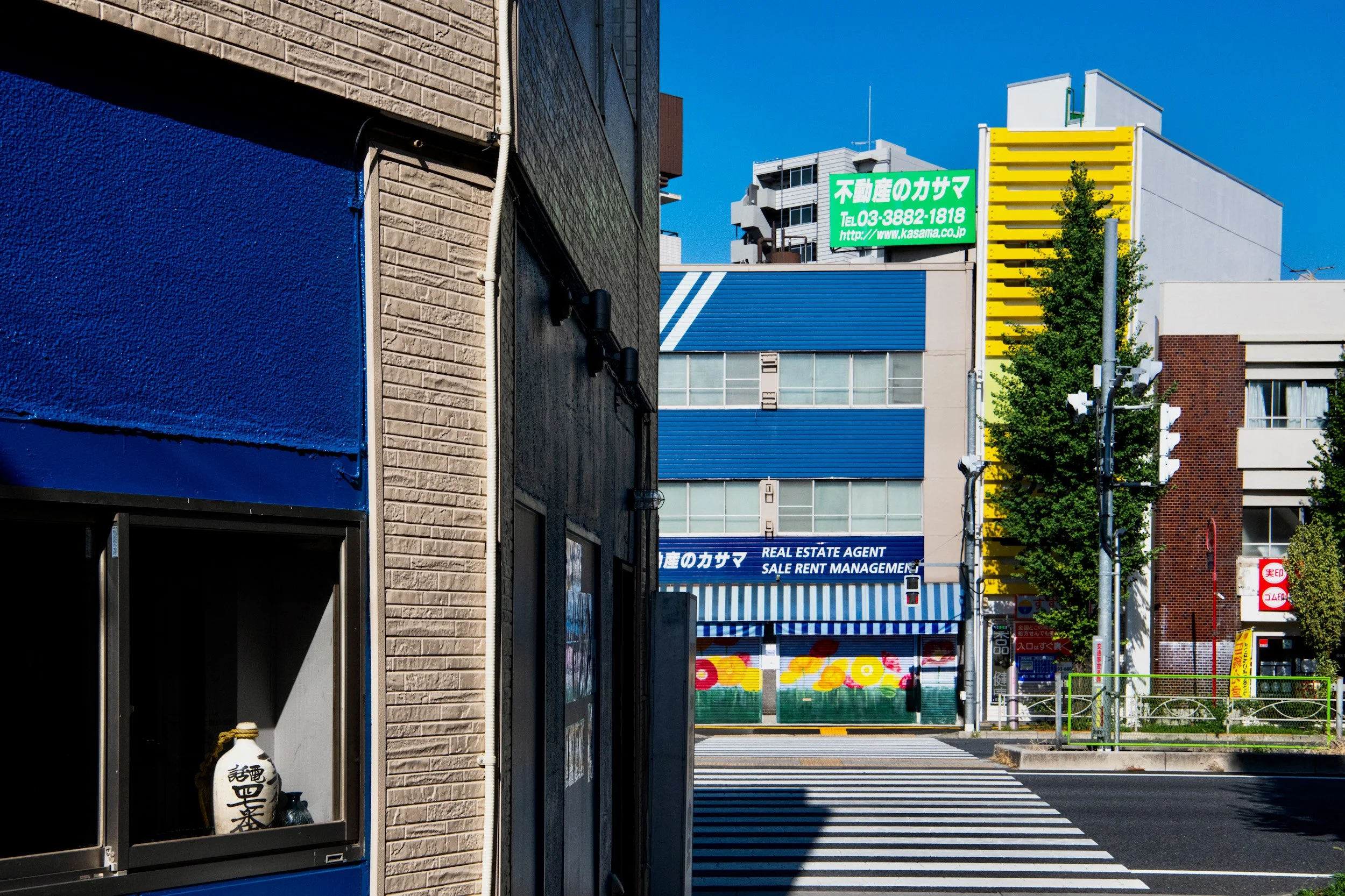 minowa blue revised.jpeg