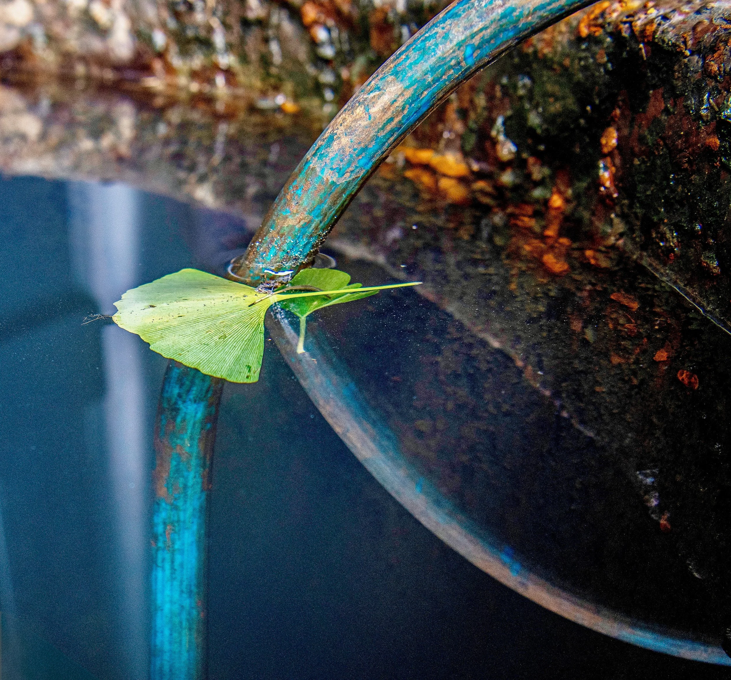 photo aug 20, 1 27 57 pm (1).jpeg