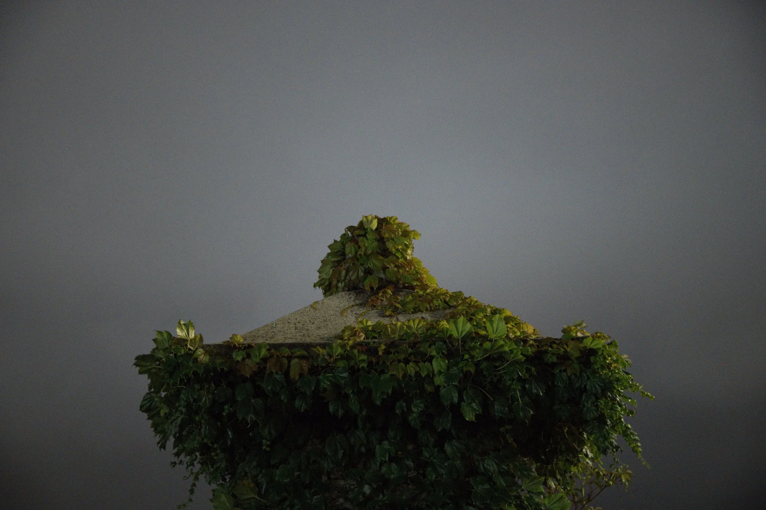 photo jun 15, 7 57 06 pm.jpeg