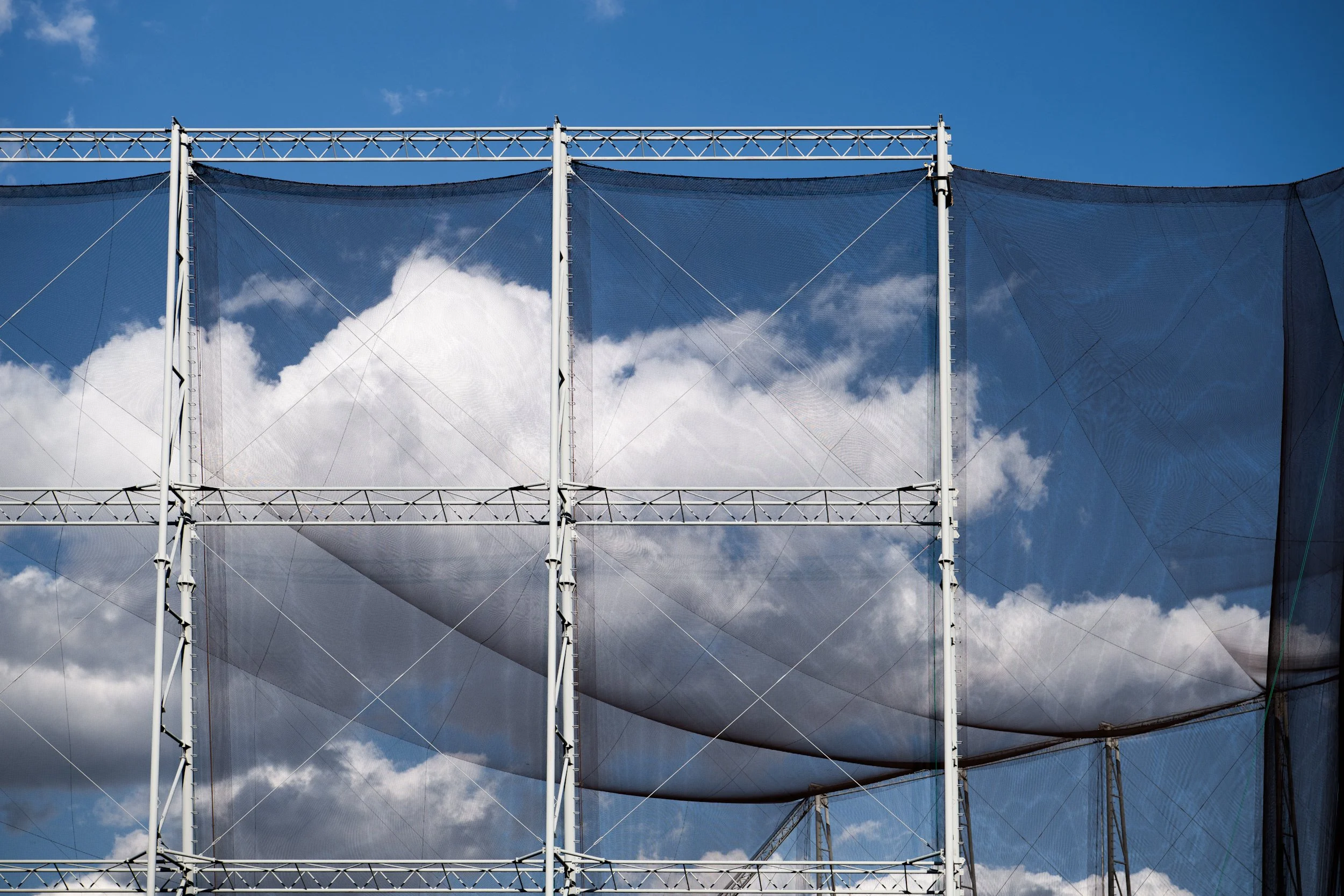 cloud hammock oji.jpeg