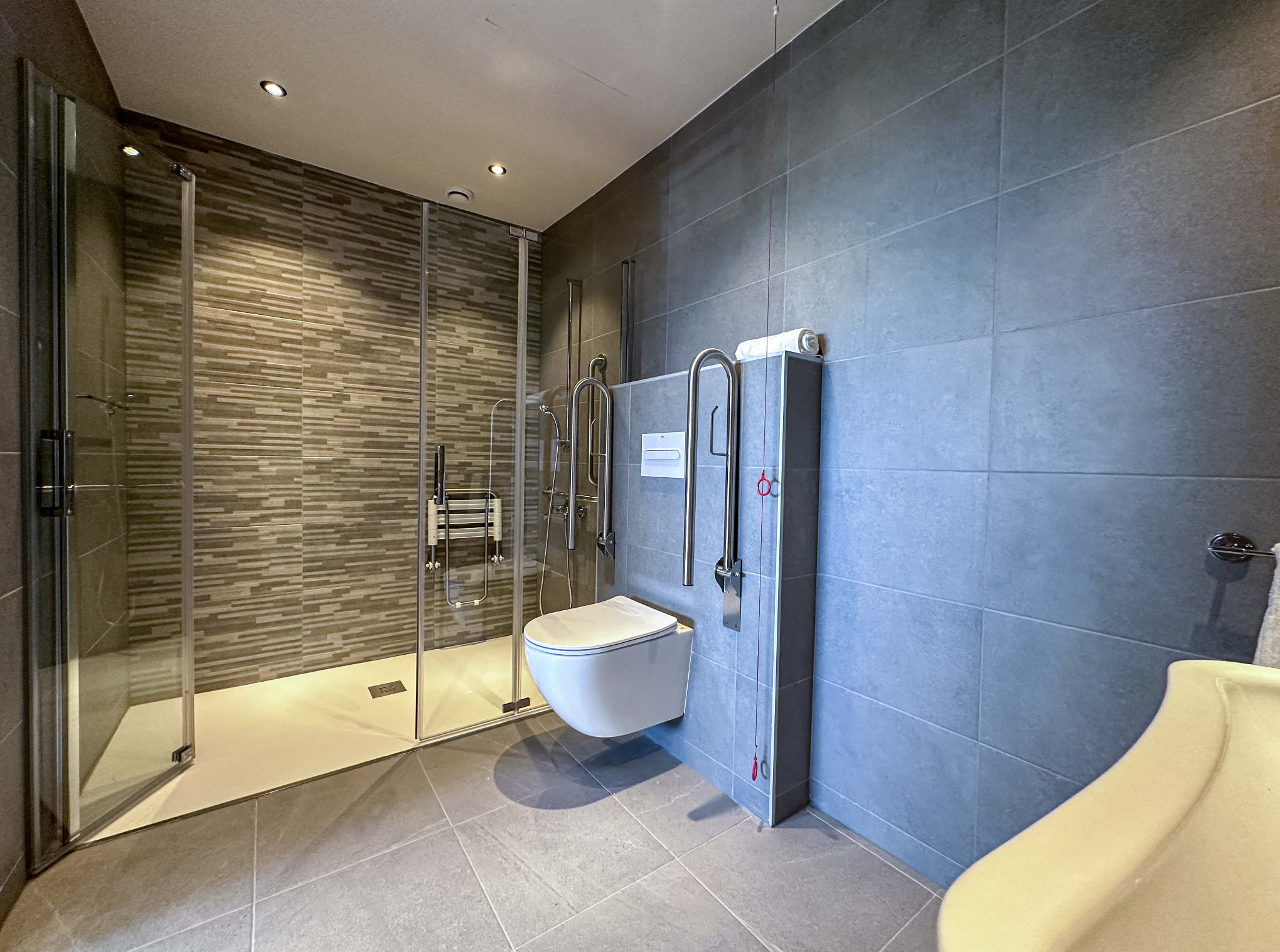 Modern accessible bathroom with a glass shower enclosure and a wall-mounted toilet with grab bars.