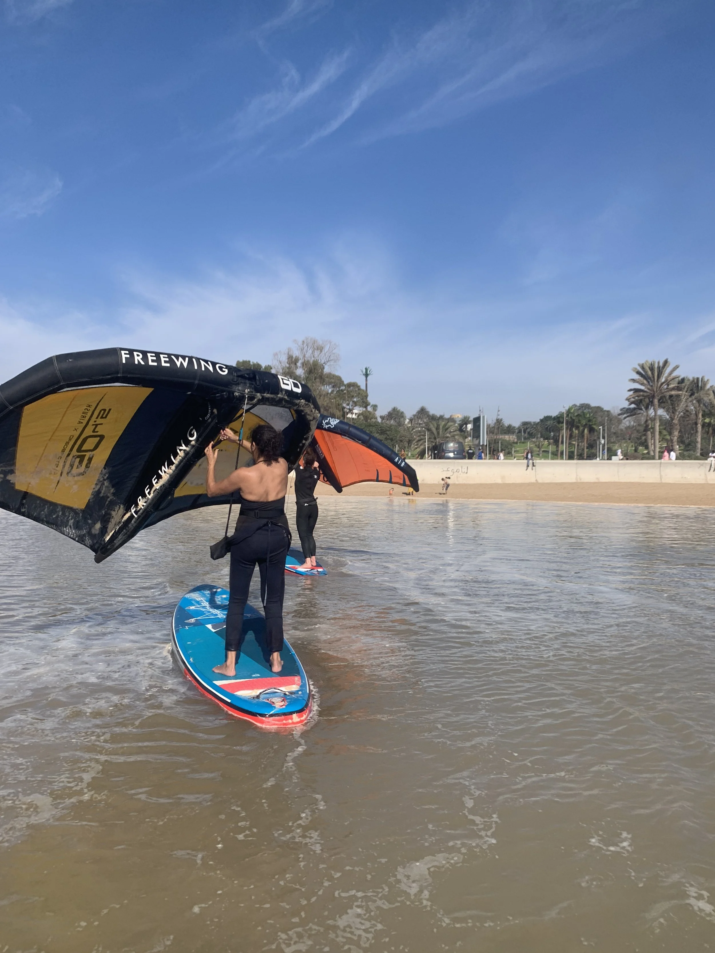 People practicing flying the wing with stand-up paddle boards on the flat water on a sunny day with a clear blue sky, palm trees, and a sandy shoreline in the background.