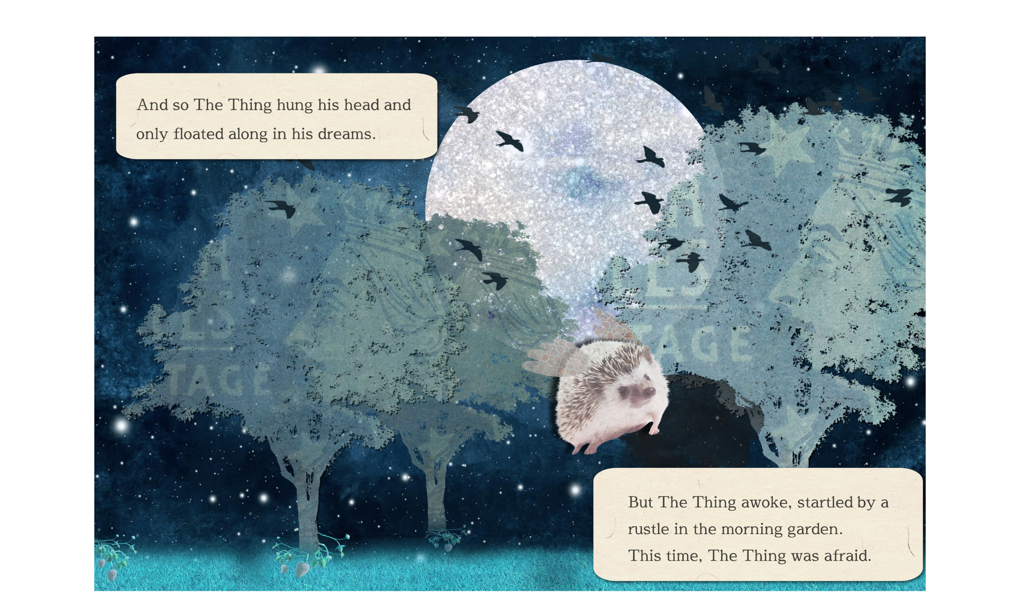 Book Illustration
