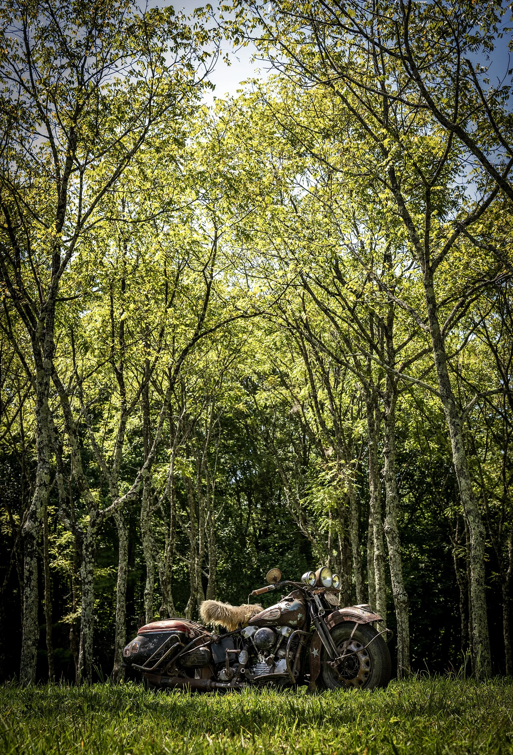 _DSC4785_Merged_Layers_Seat_Fixed_NEW_Darker_Tone.jpg