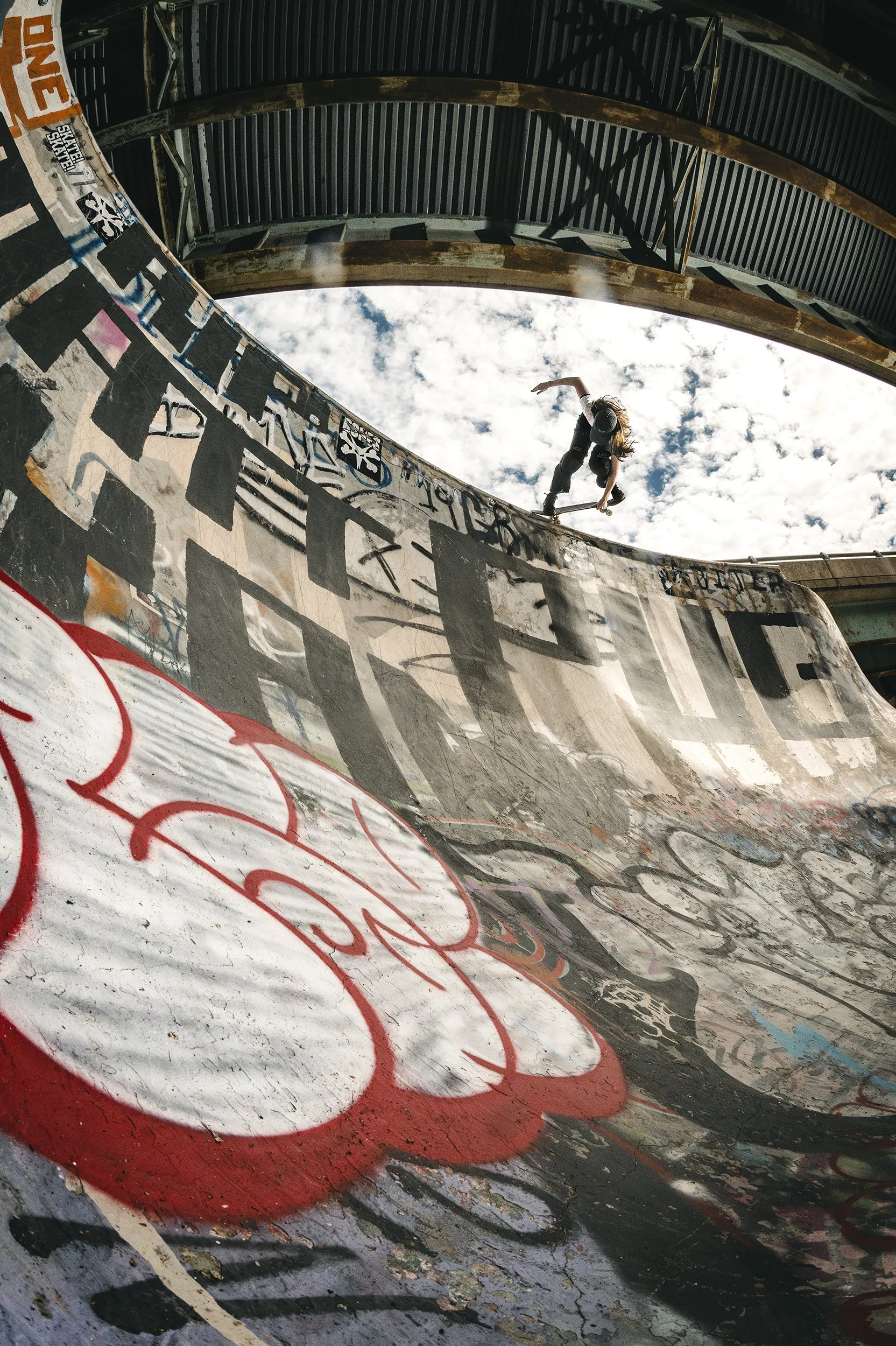 Lily_Backside_NosePick_FDR.jpg