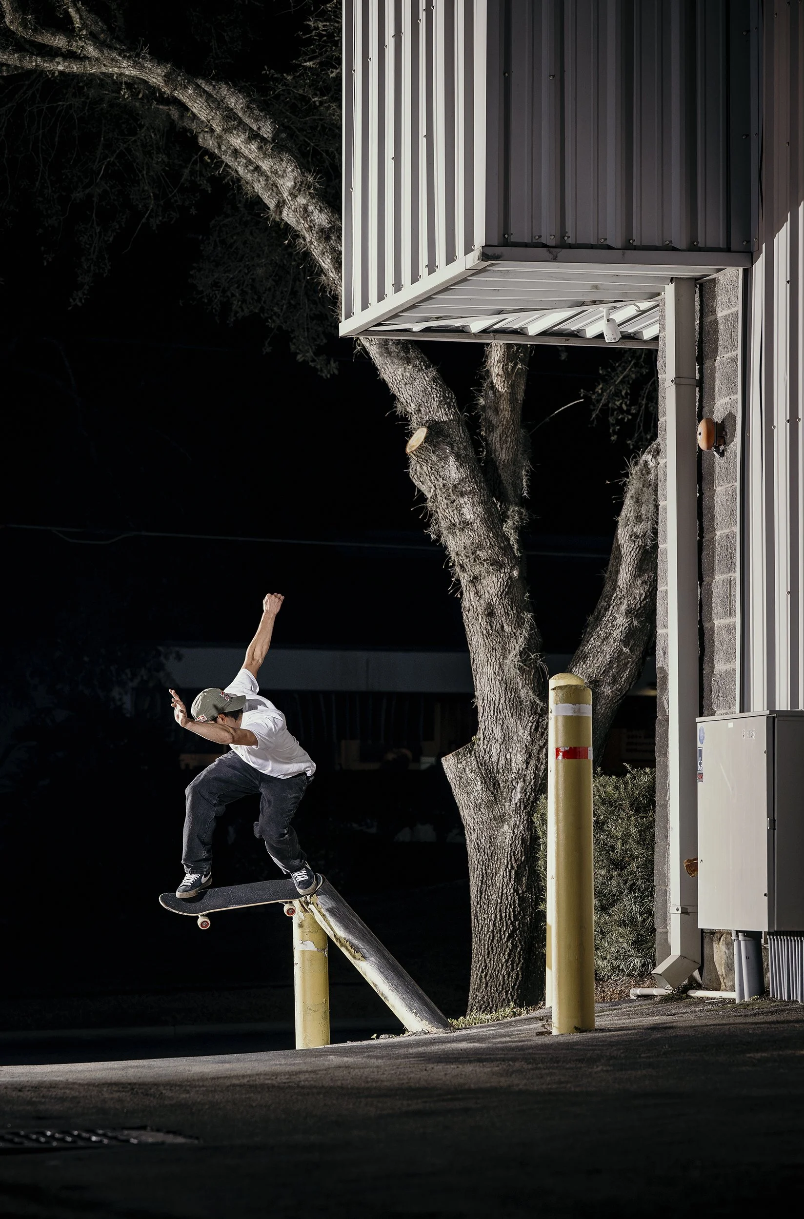 Jiro_BackTail_.jpg