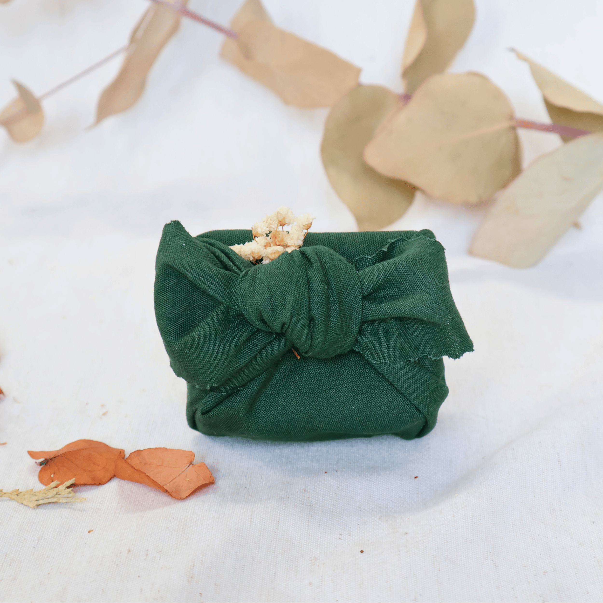 Green Reboot - Furoshiki