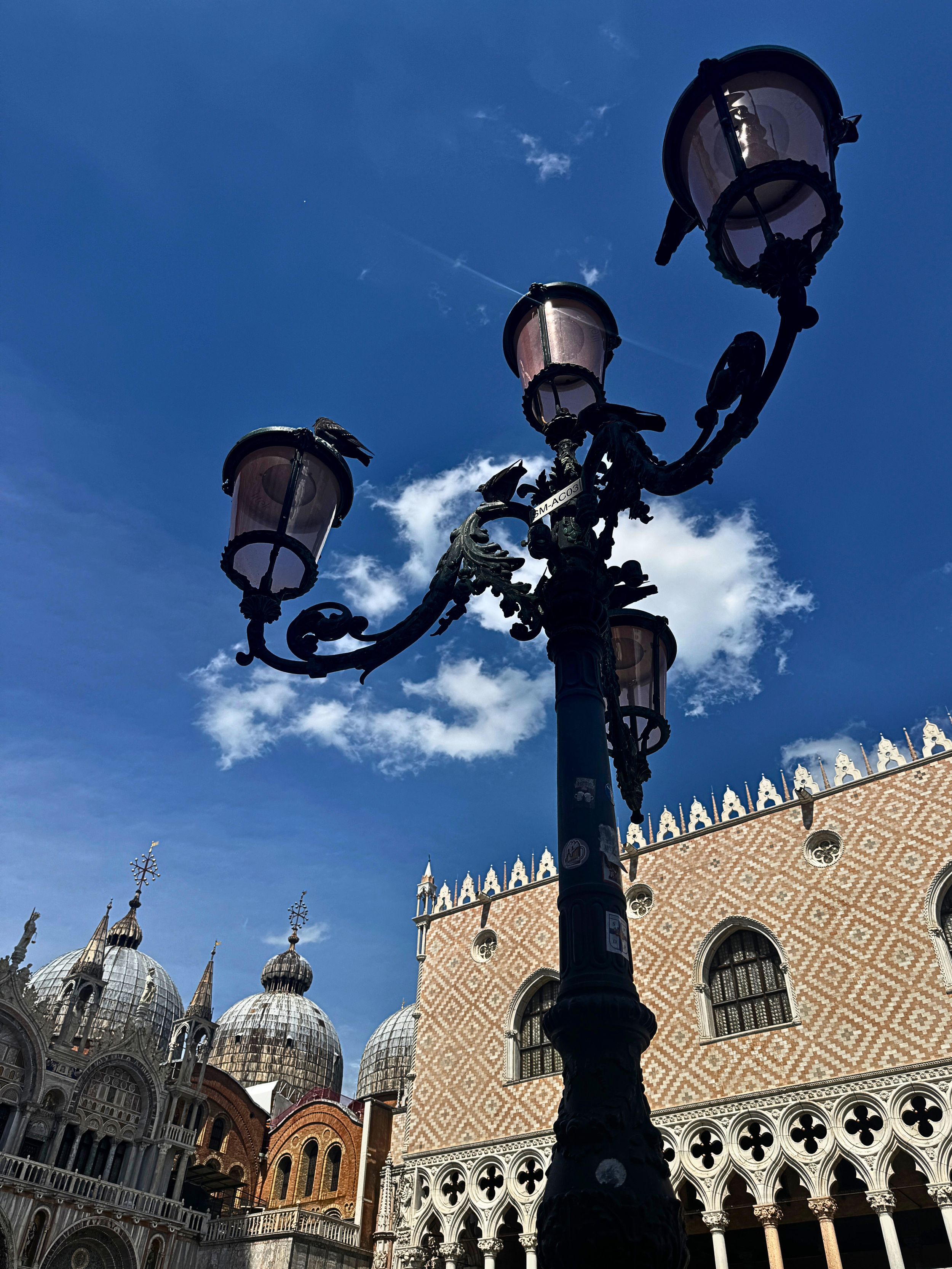 Untitled design (10).png