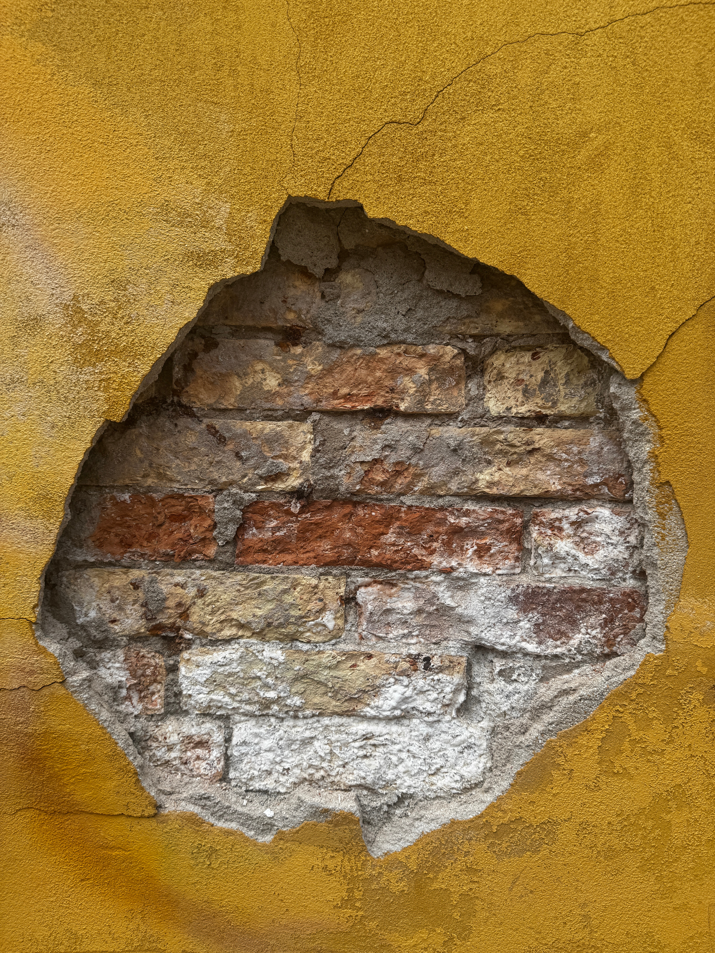 Untitled design (4).png
