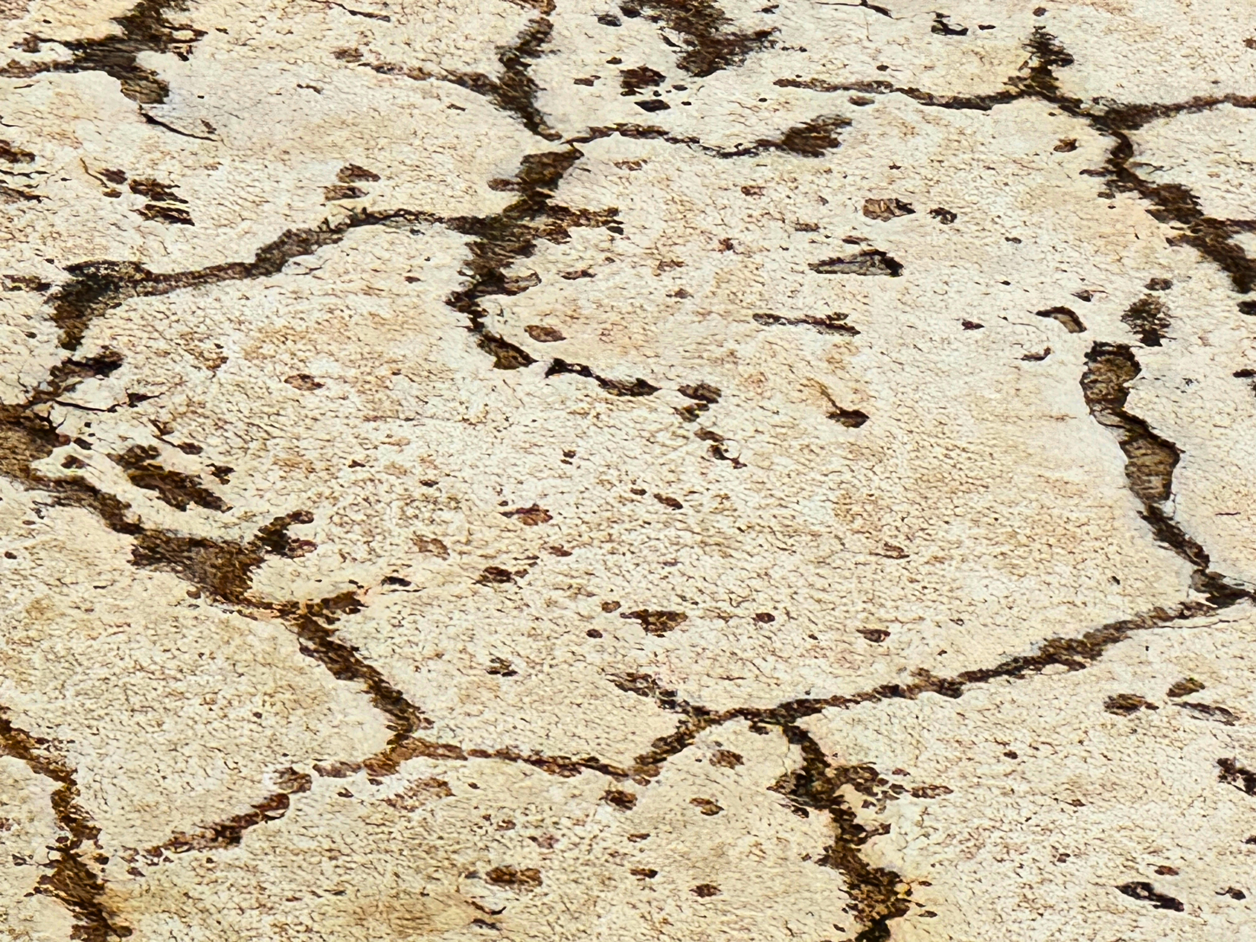 Untitled design (13).png