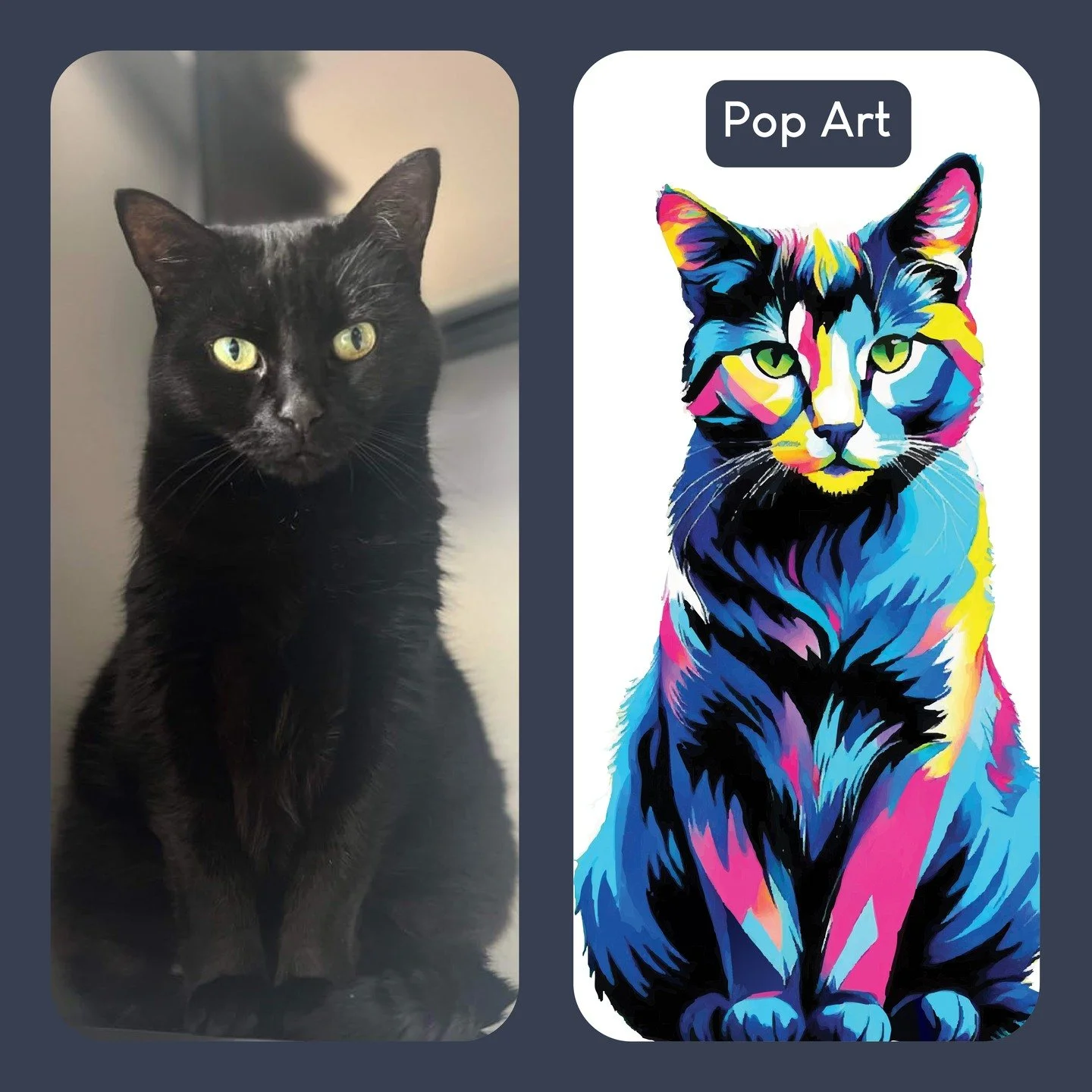 It’s International Cat Day, so I took a photo of my cat — meet Eemo π€
I used it as a chance to try out some new graphic styles, including a low poly look.
Turns out, low poly + all-black cat = harder than I thought. Not much colour to