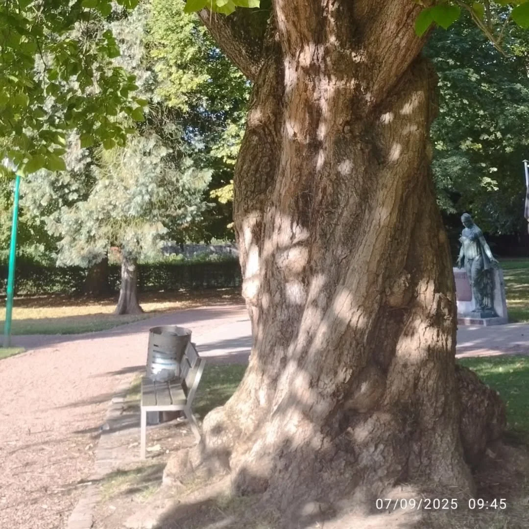 Cam&eacute;ra roll du mois de septembre 

1. Petit d&eacute;jeuner dans le parc de Fl&eacute;malle 
2. Atelier totebag avec @sunflowher_officiel 
3. Stand de pr&eacute;sentation du planning familial &agrave; l'unif de Liege (j'ai un autre job comme a
