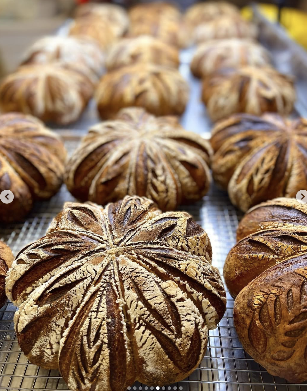 Screenshot 2025-03-20 at 21.33.22.png