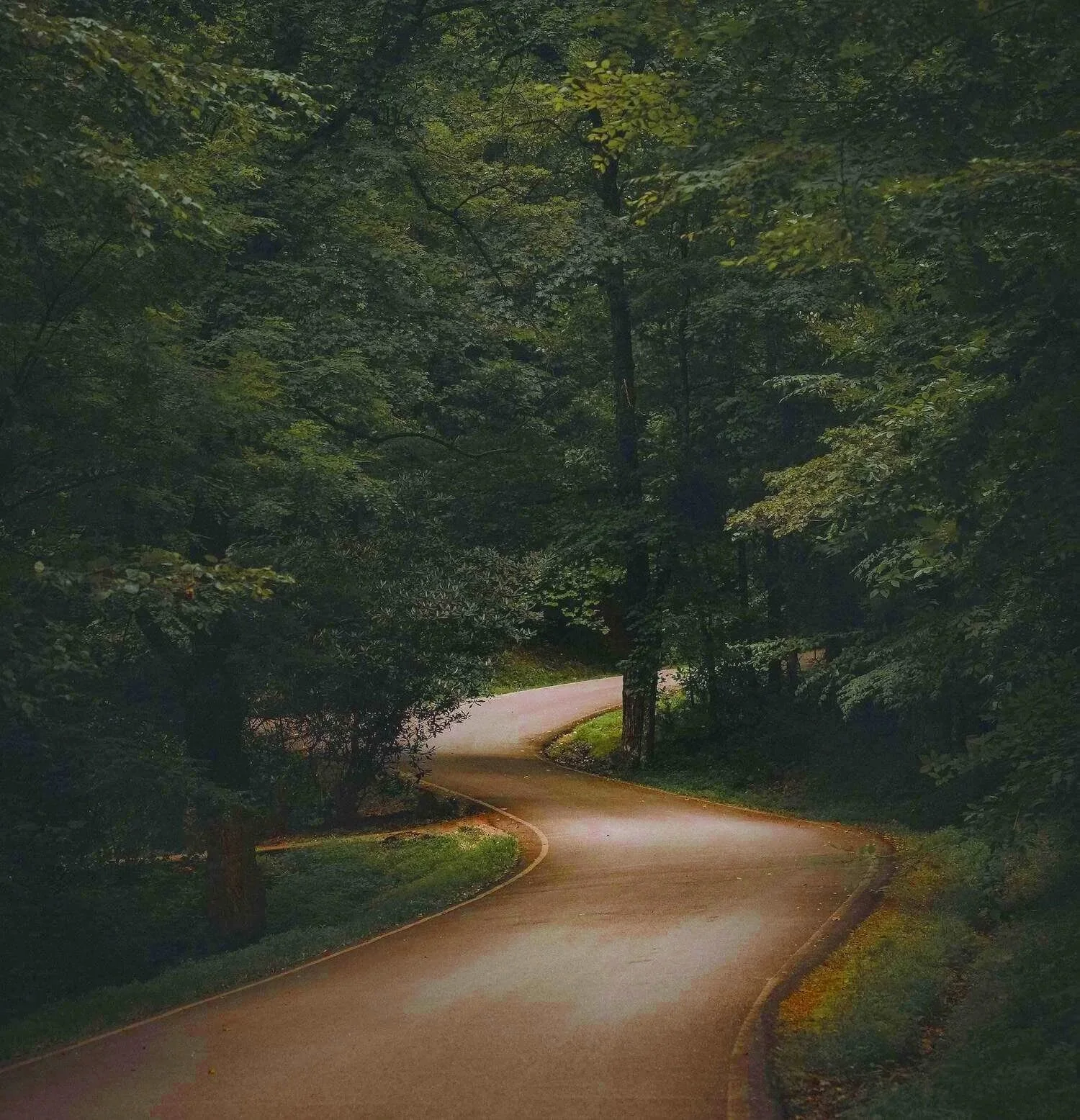 Key Mindsets for Exploring Your Inner Depths