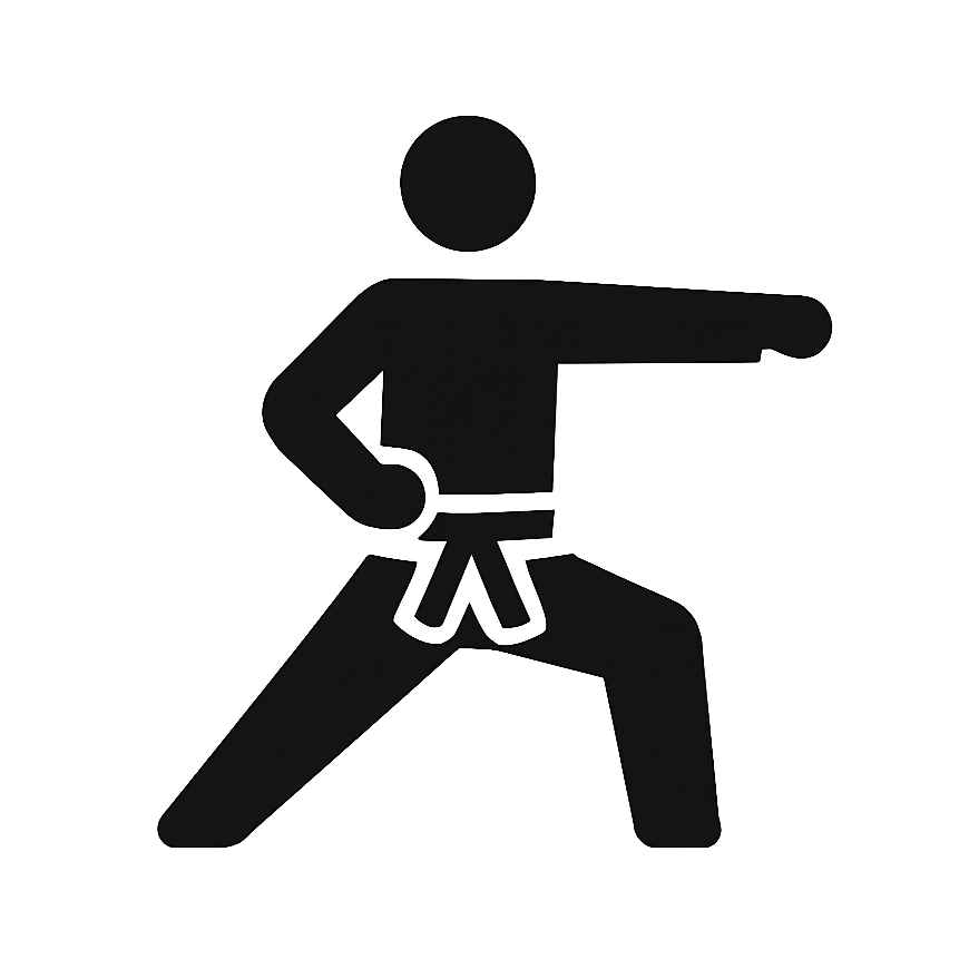 Silhouette of a karateka performing kata.