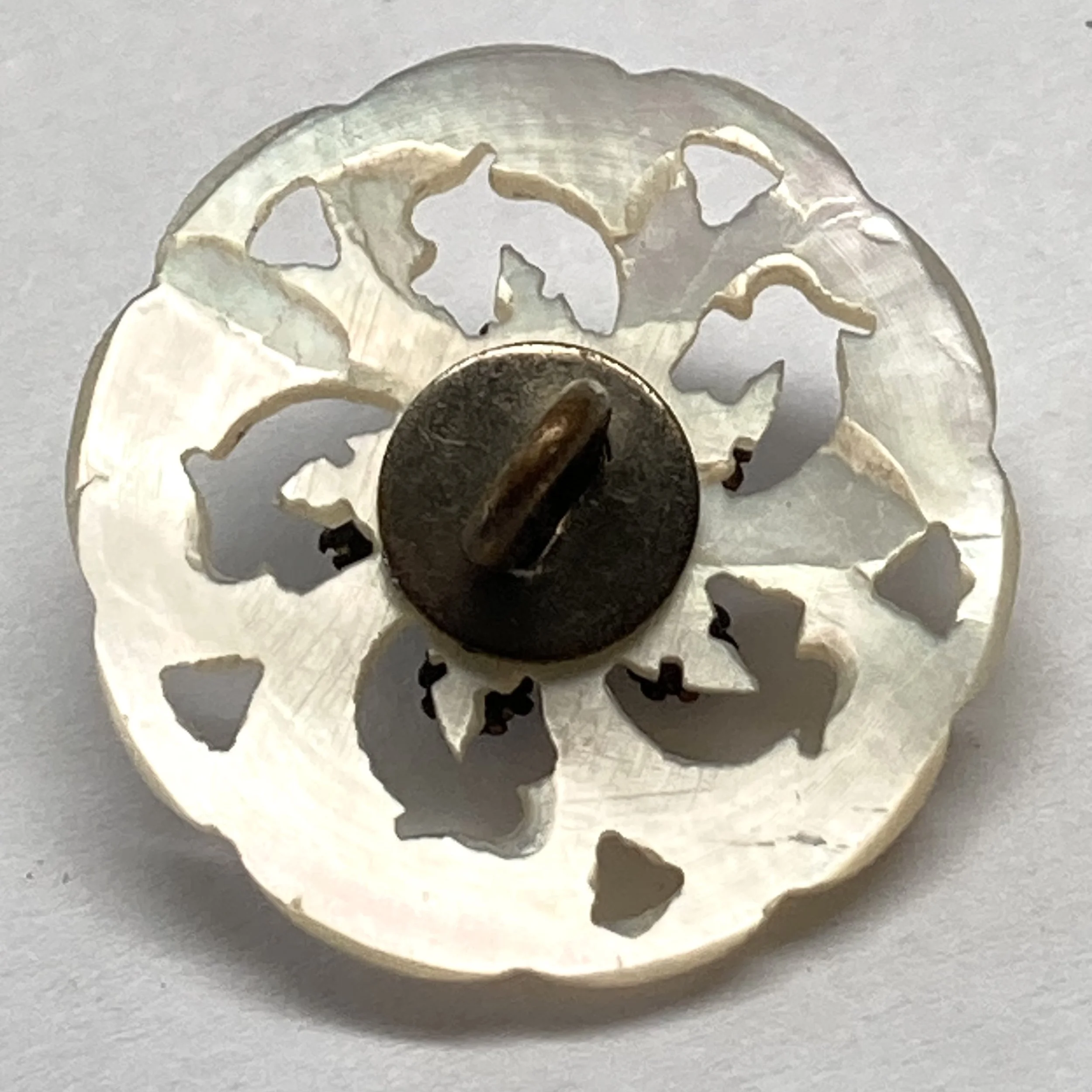 IMG_5926.jpeg (Copy)