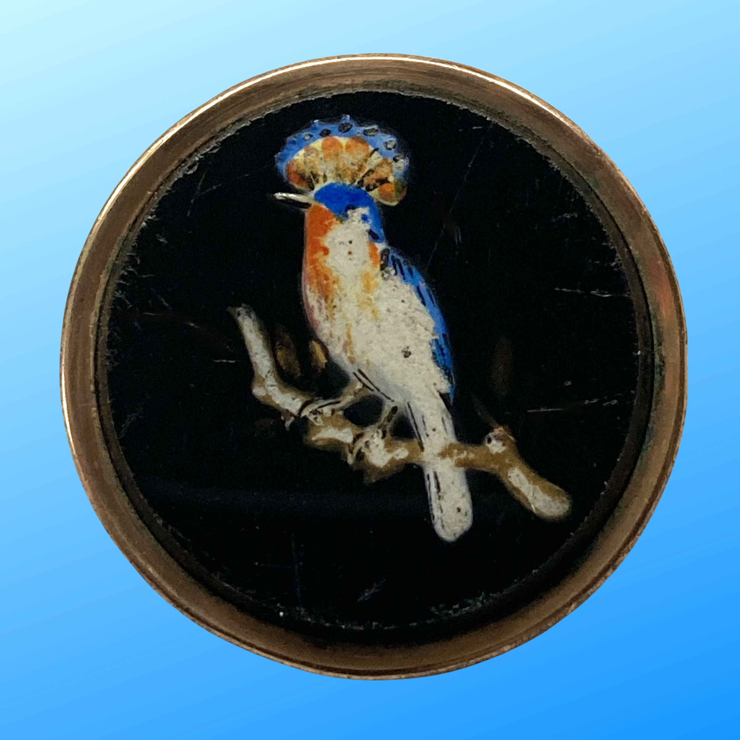 Copy of Untitled (3024 x 3024 px)(1001).png