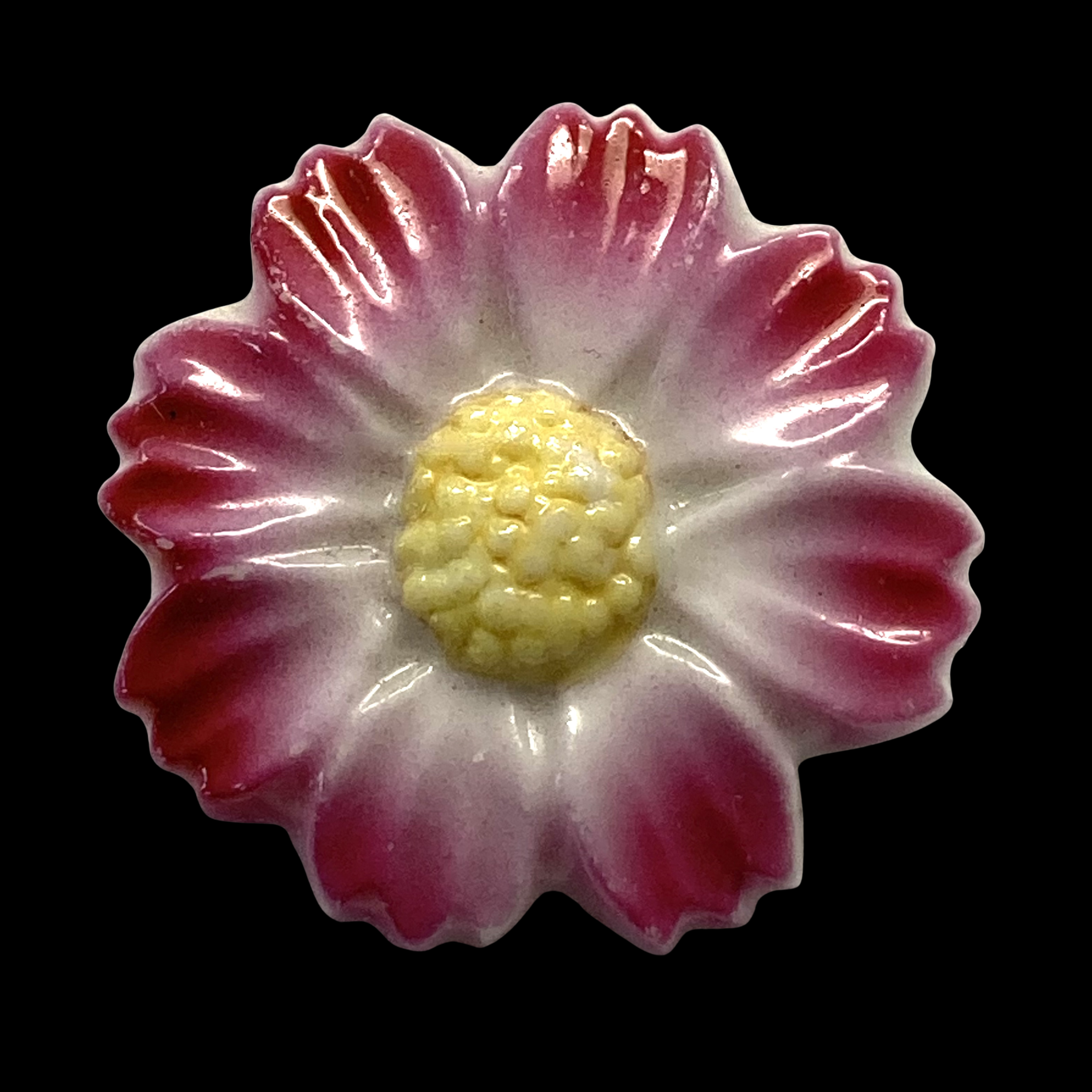 Copy of Copy of Untitled (3024 x 3024 px)(353).png