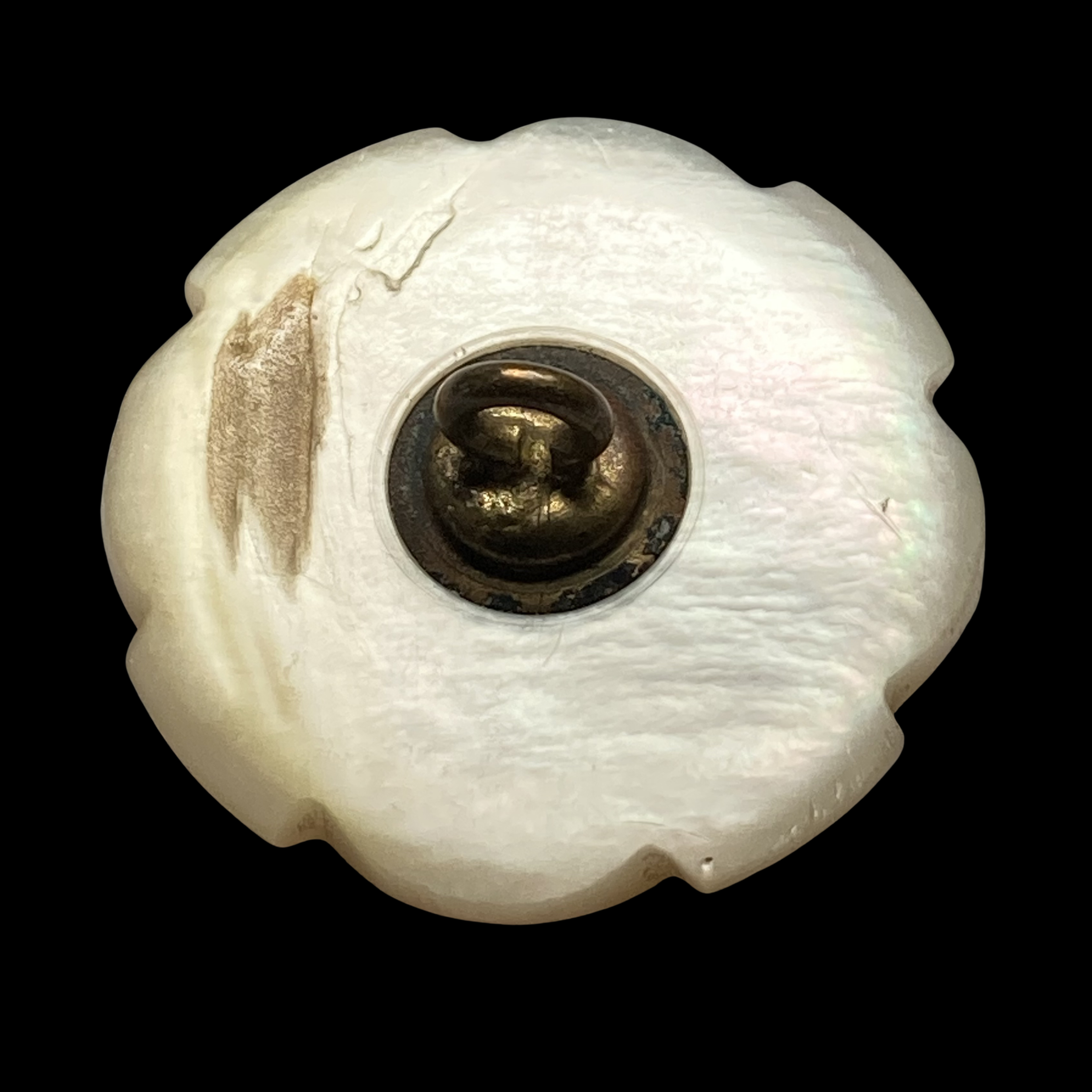 Copy of Copy of Untitled (3024 x 3024 px)(571).png