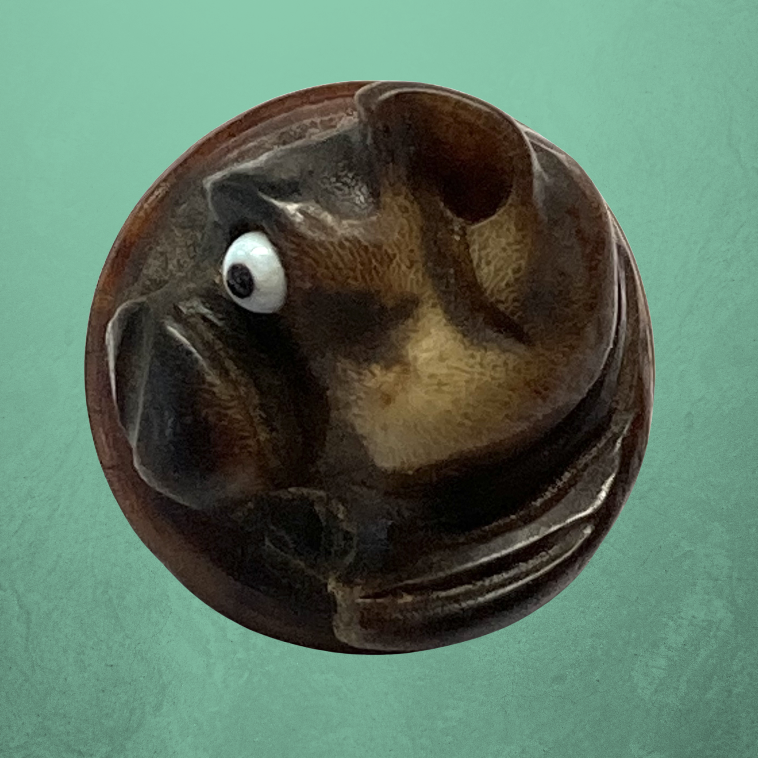 Copy of Copy of Untitled (3024 x 3024 px)(348).png